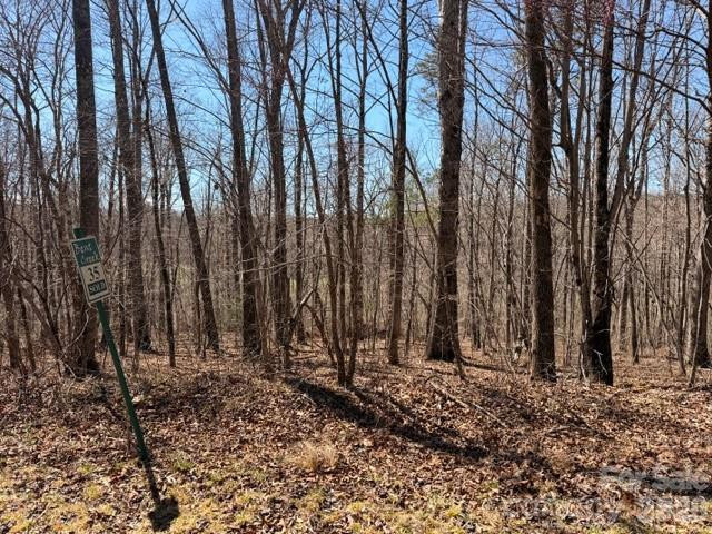 659 Bent Creek Drive #35 - Photo 8