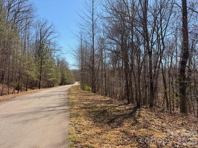 659 Bent Creek Drive #35 - Photo 10