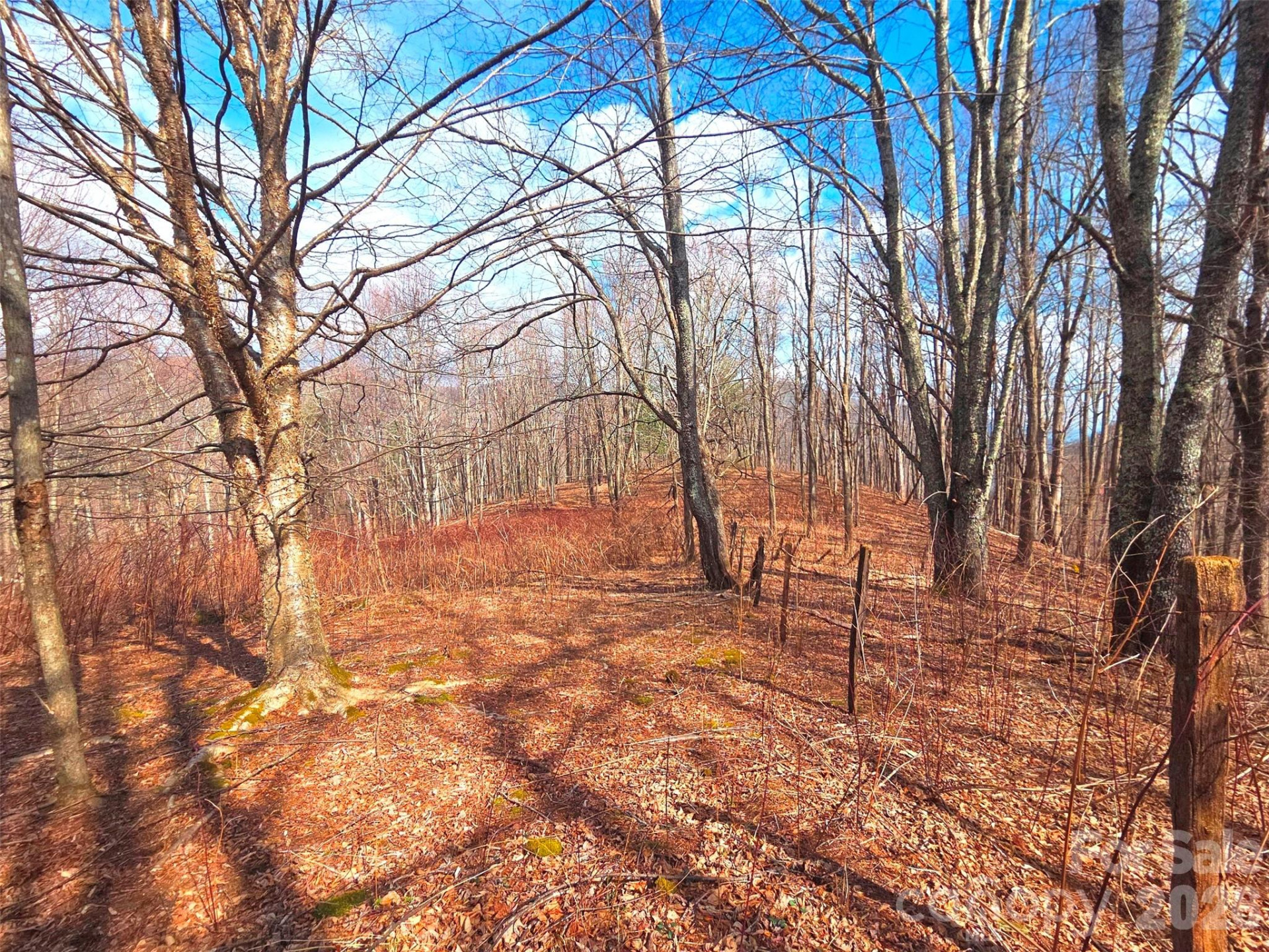 250 Rome Beauty Road #TR5 - Photo 2