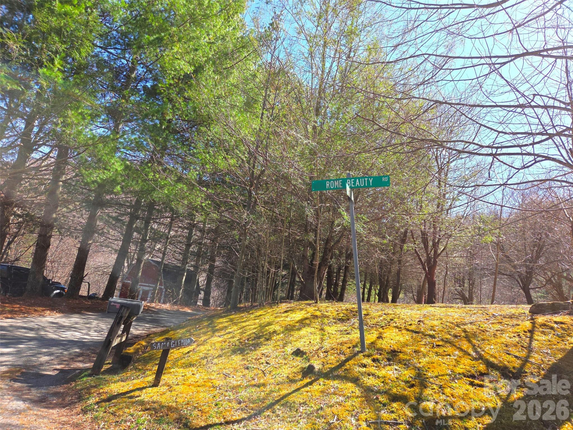 250 Rome Beauty Road #TR5 - Photo 11