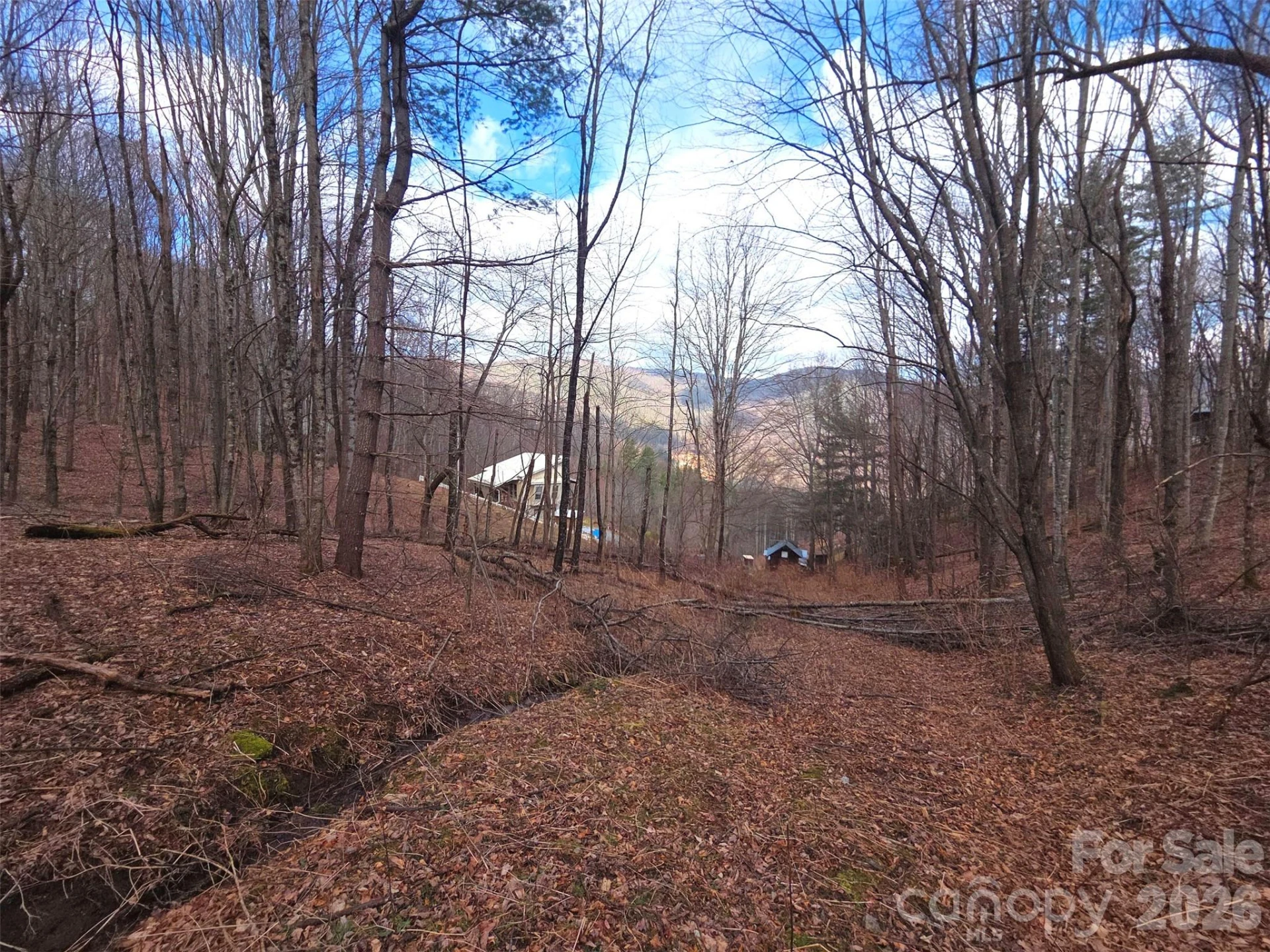 250 Rome Beauty Road #TR5 - Photo 12