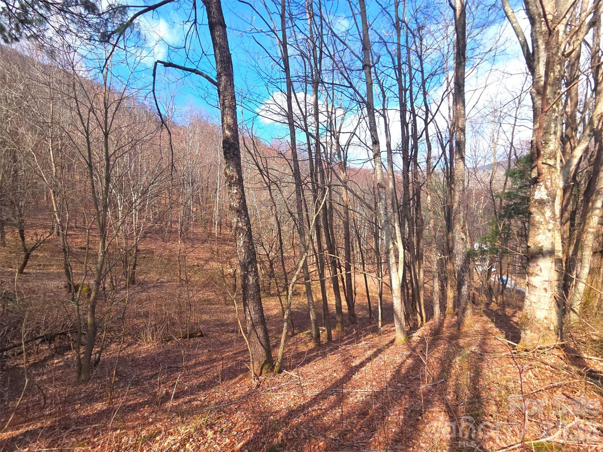 250 Rome Beauty Road #TR5 - Photo 13