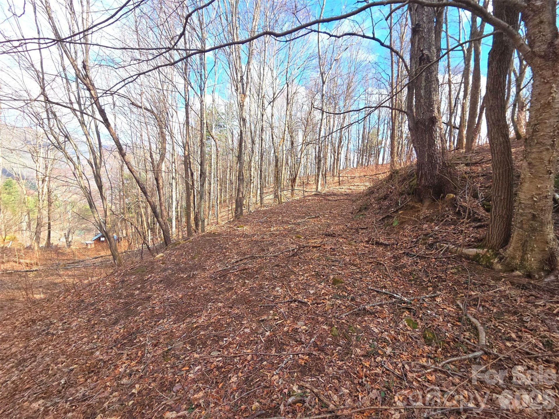 250 Rome Beauty Road #TR5 - Photo 14