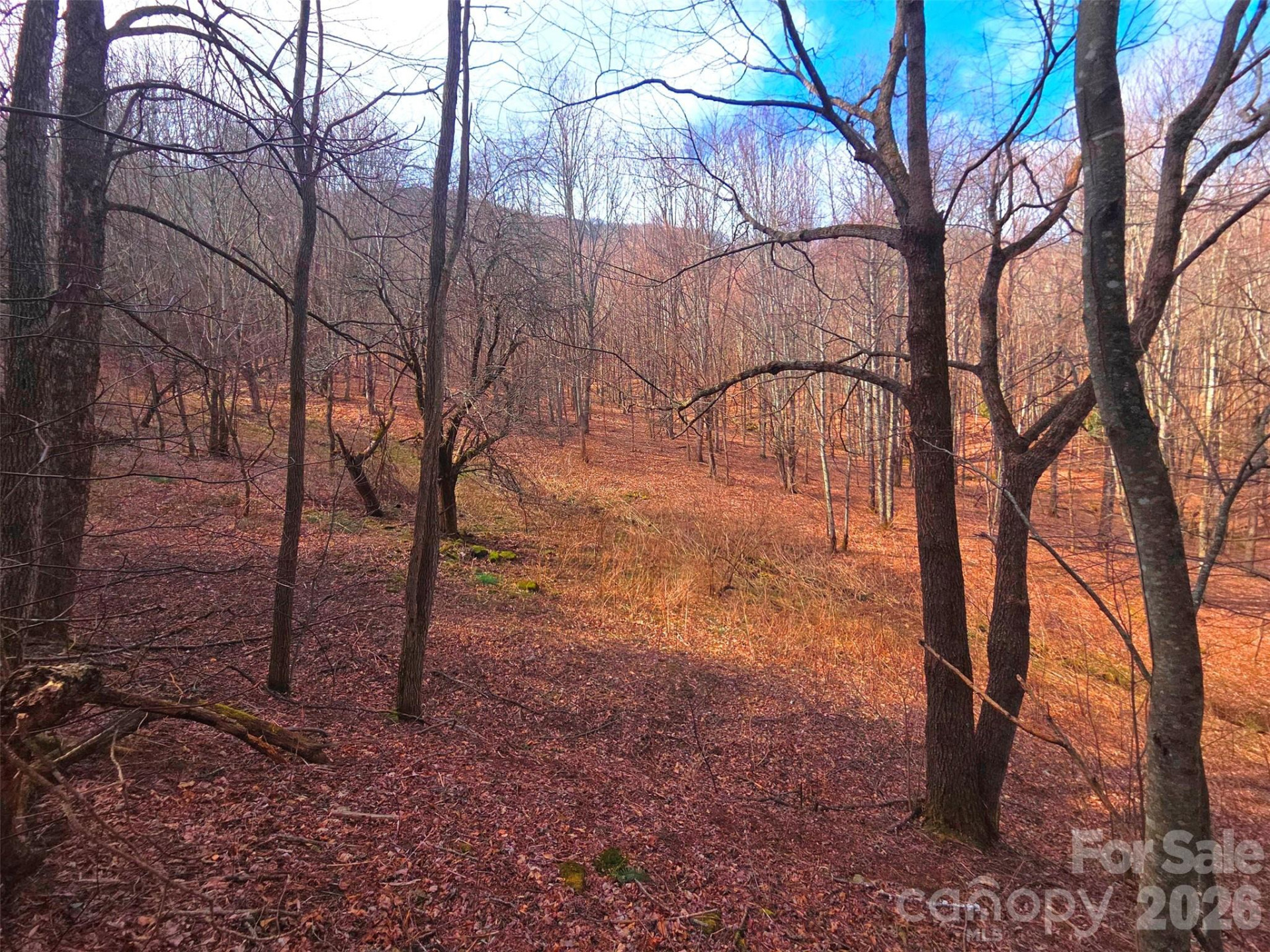 250 Rome Beauty Road #TR5 - Photo 15