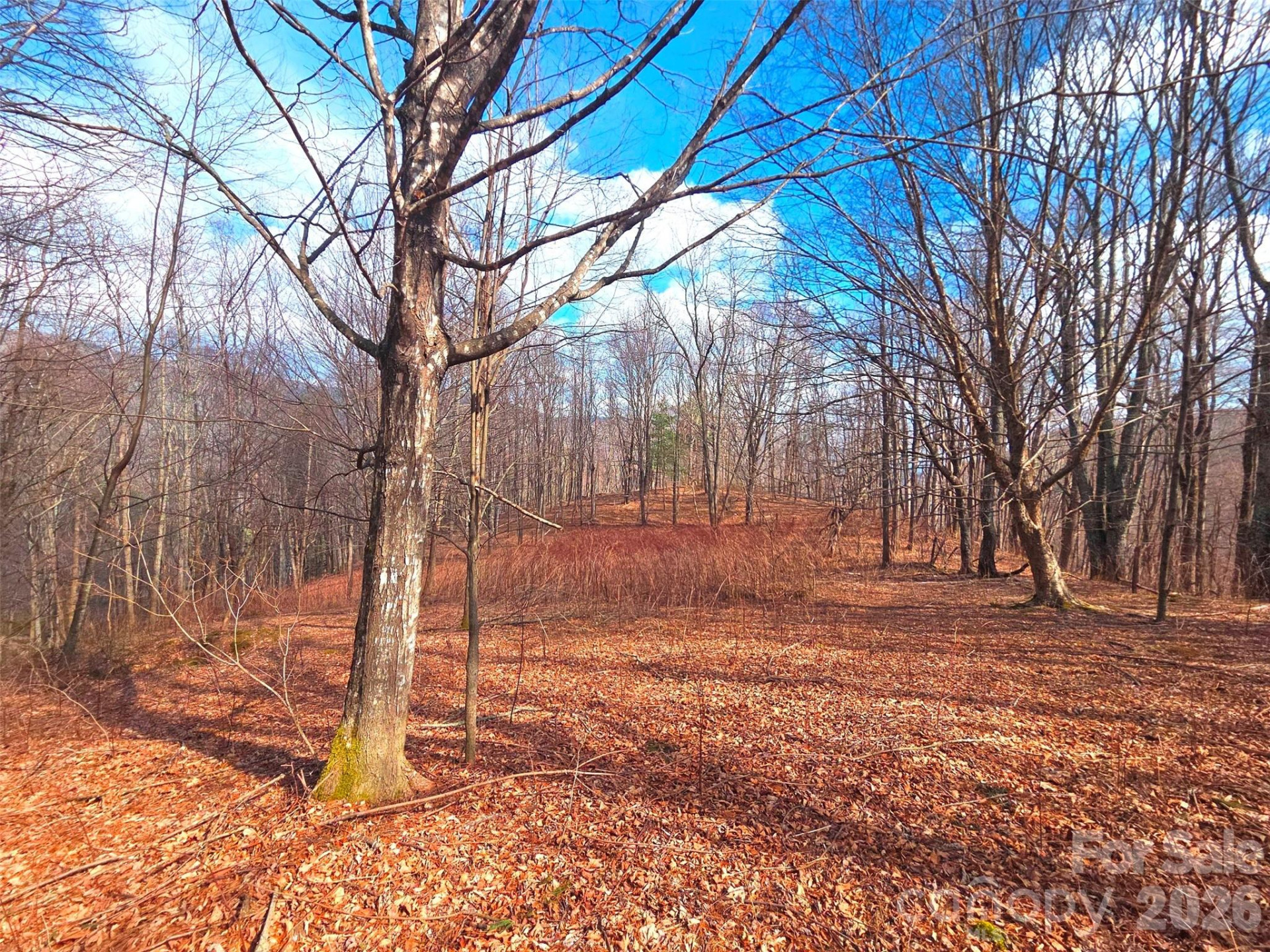 250 Rome Beauty Road #TR5 - Photo 16