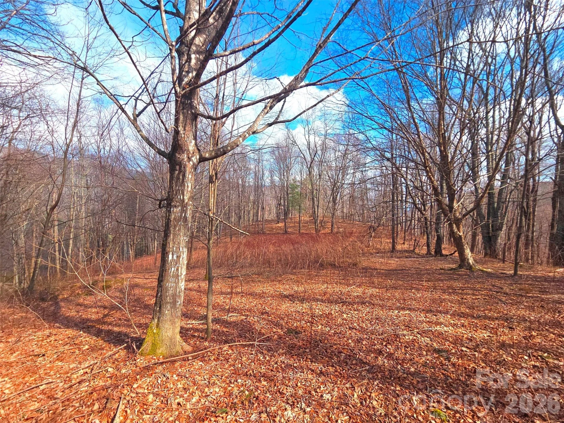 250 Rome Beauty Road #TR5 - Photo 16