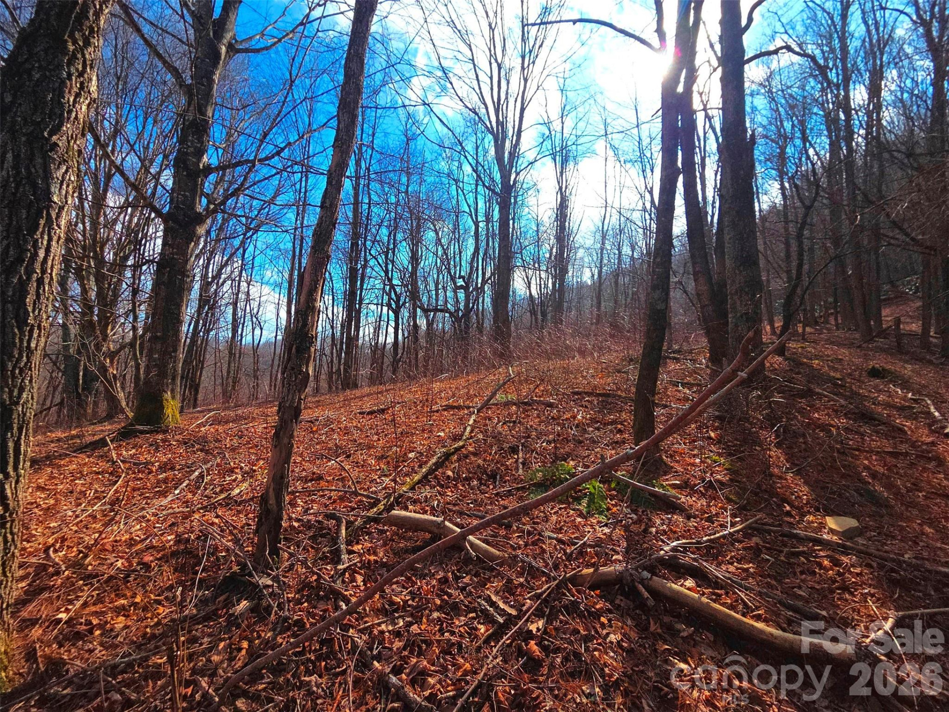 250 Rome Beauty Road #TR5 - Photo 17