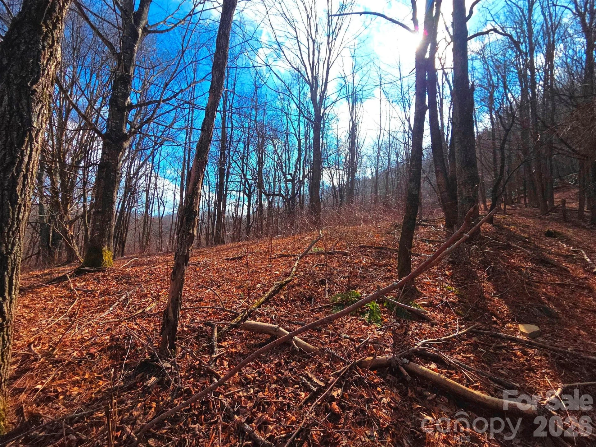 250 Rome Beauty Road #TR5 - Photo 17