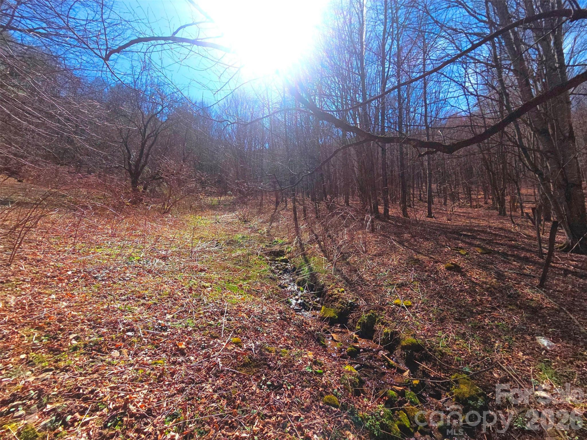 250 Rome Beauty Road #TR5 - Photo 18