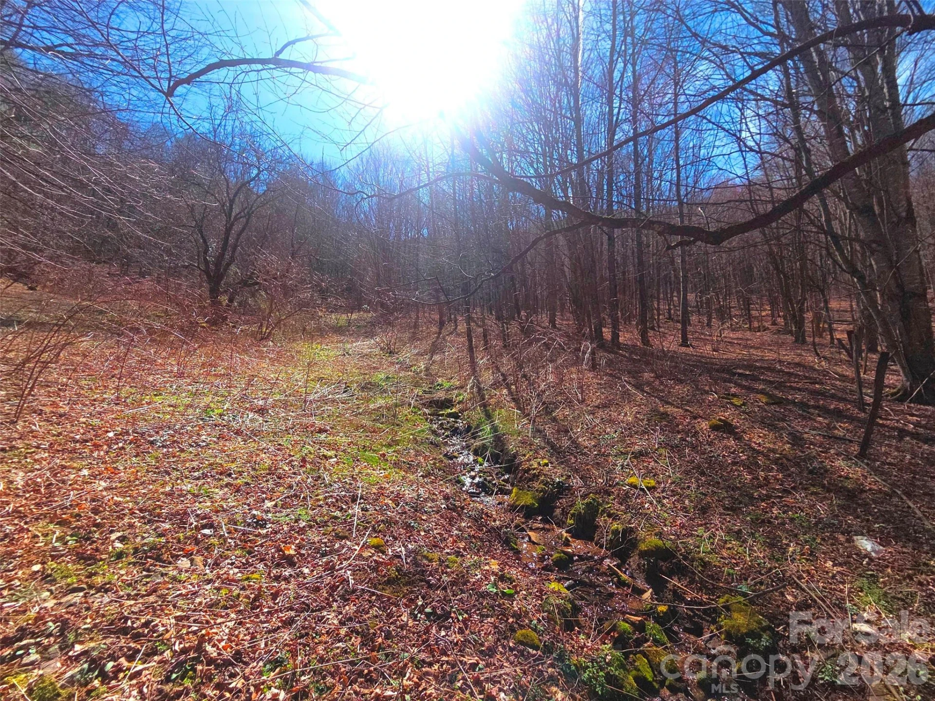 250 Rome Beauty Road #TR5 - Photo 18