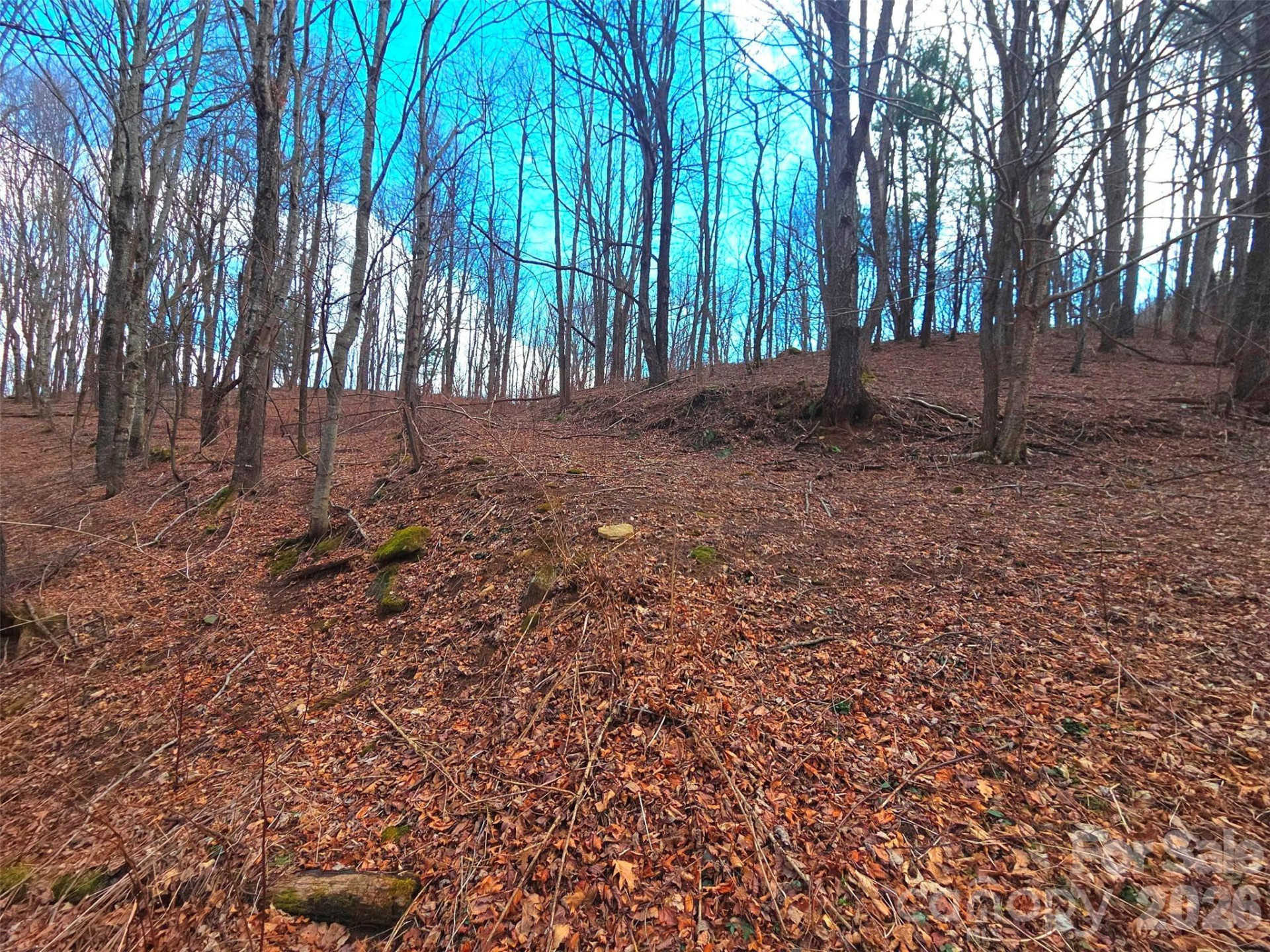 250 Rome Beauty Road #TR5 - Photo 21