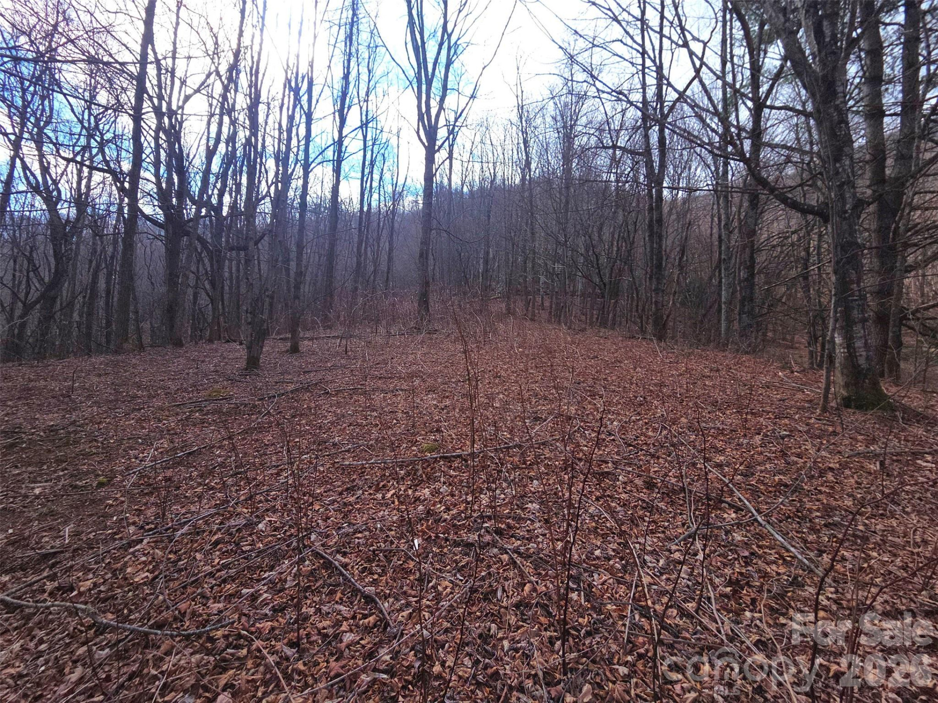 250 Rome Beauty Road #TR5 - Photo 22