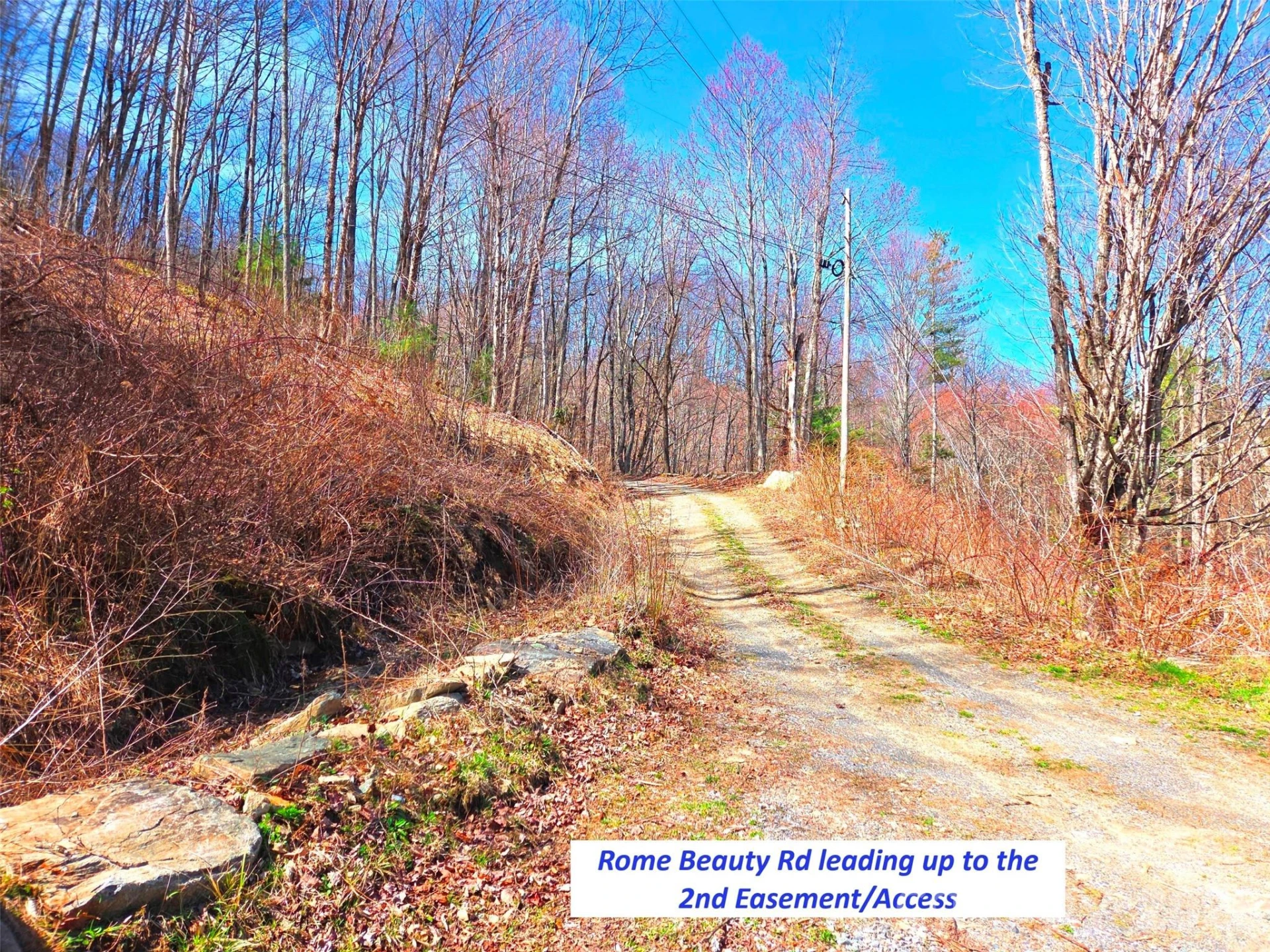 250 Rome Beauty Road #TR5 - Photo 24