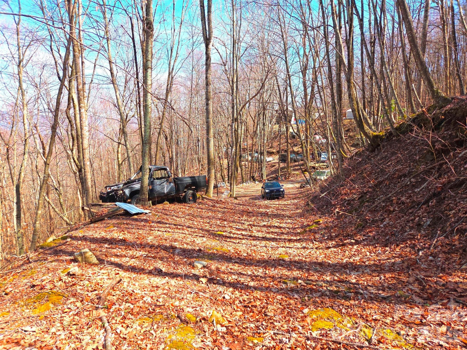 250 Rome Beauty Road #TR5 - Photo 25