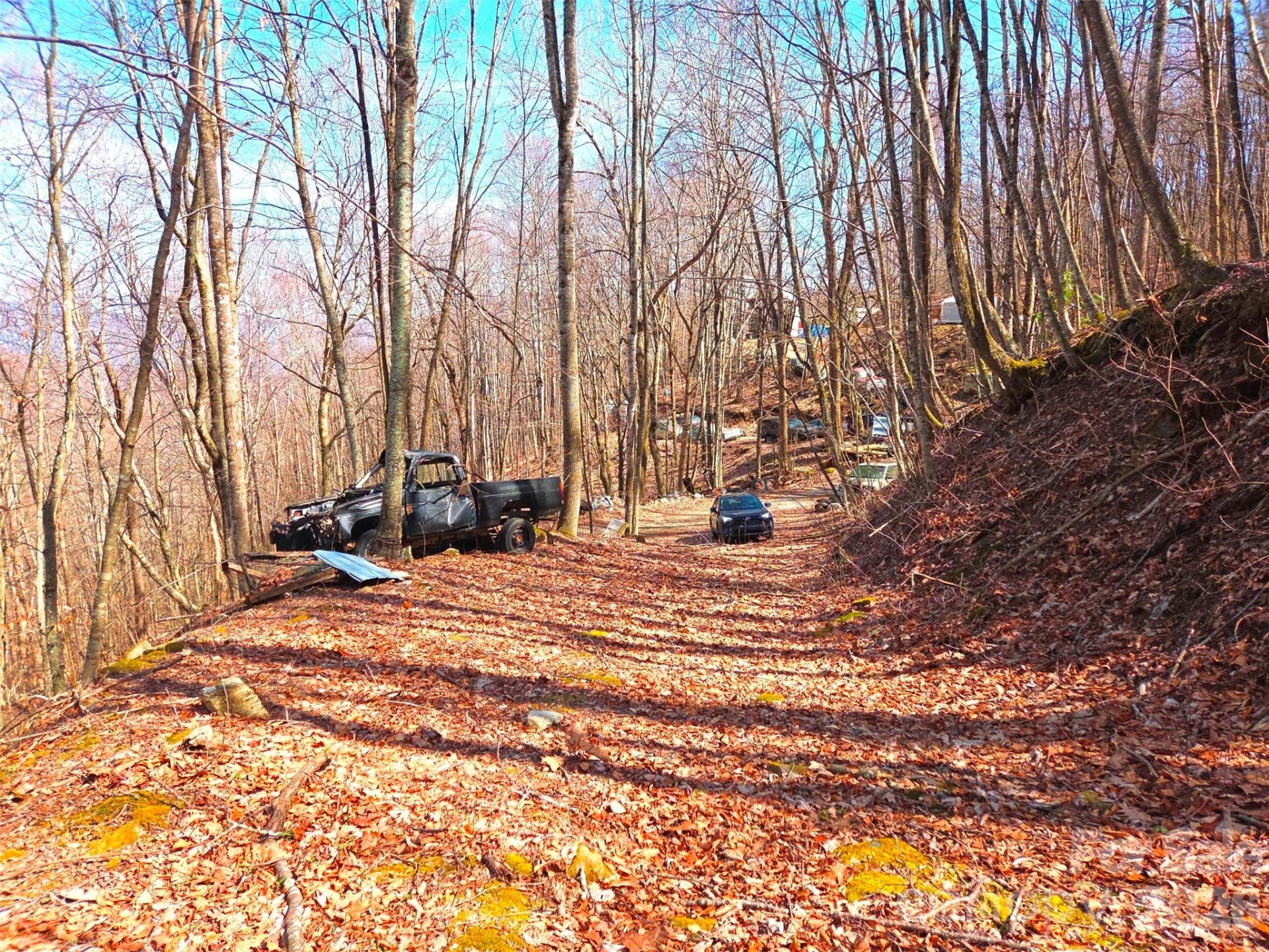 250 Rome Beauty Road #TR5 - Photo 25