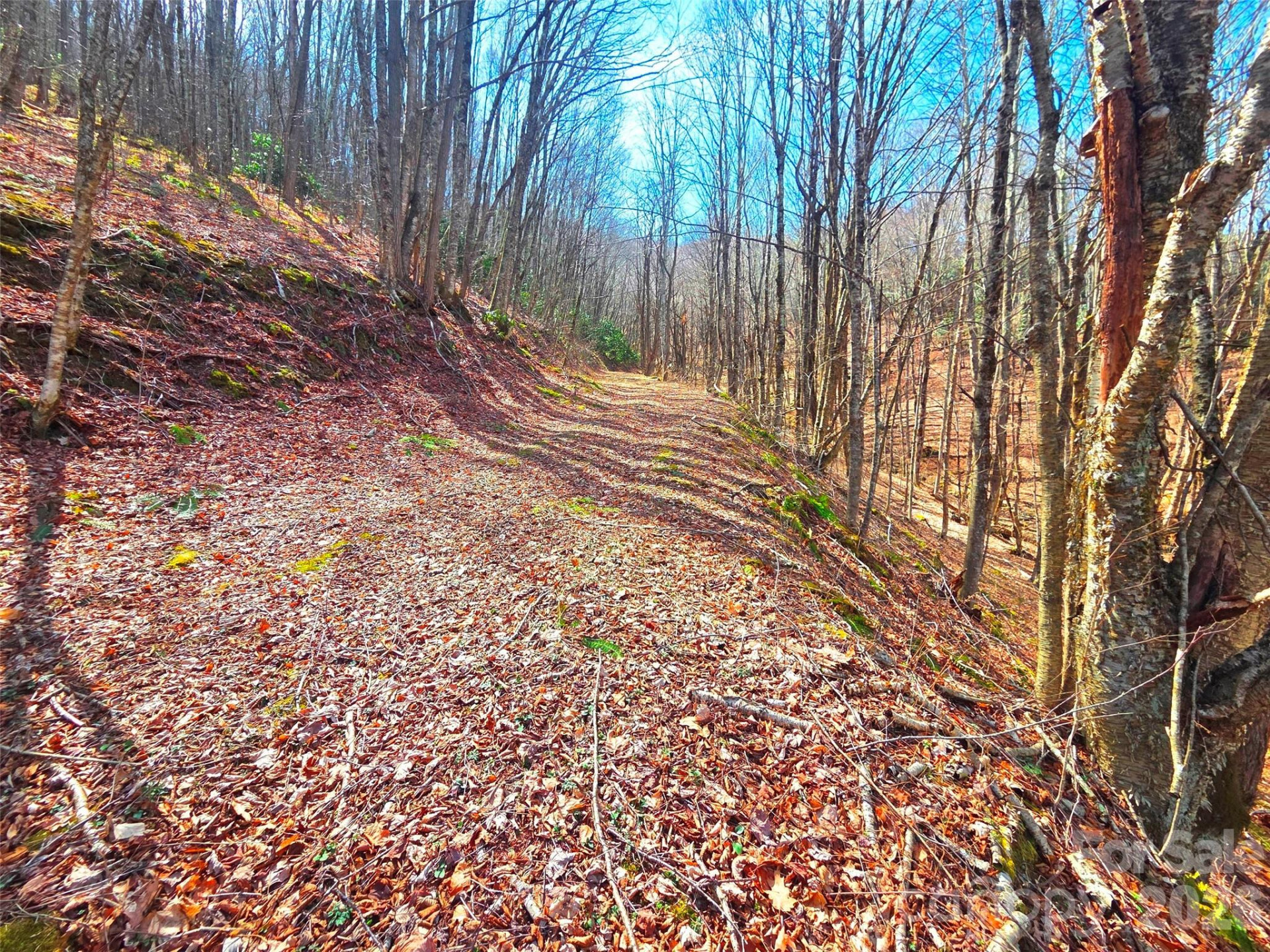 250 Rome Beauty Road #TR5 - Photo 26