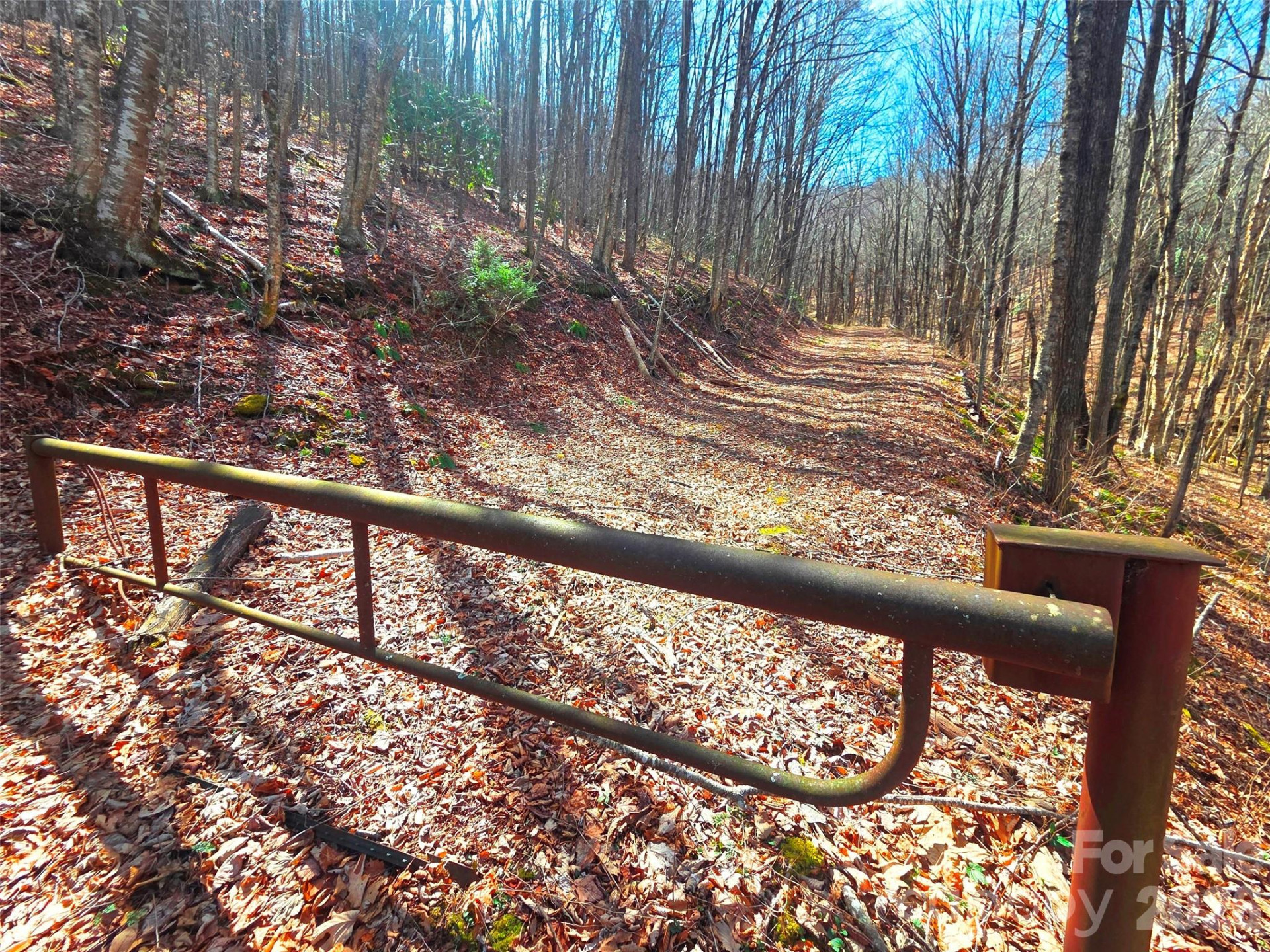 250 Rome Beauty Road #TR5 - Photo 27