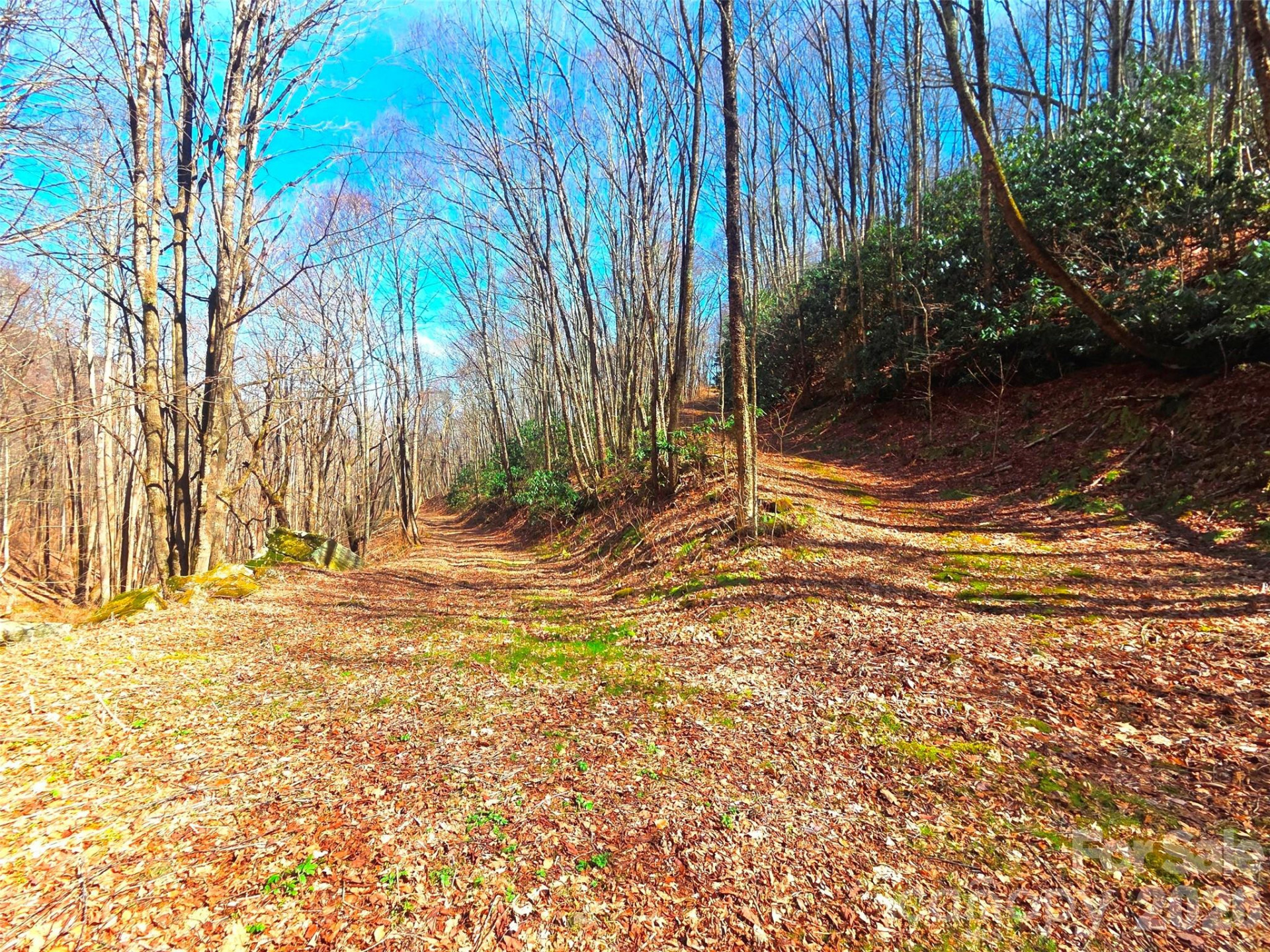 250 Rome Beauty Road #TR5 - Photo 28