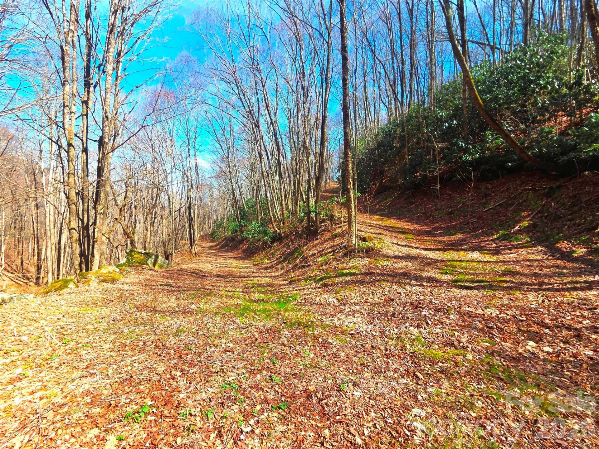 250 Rome Beauty Road #TR5 - Photo 28
