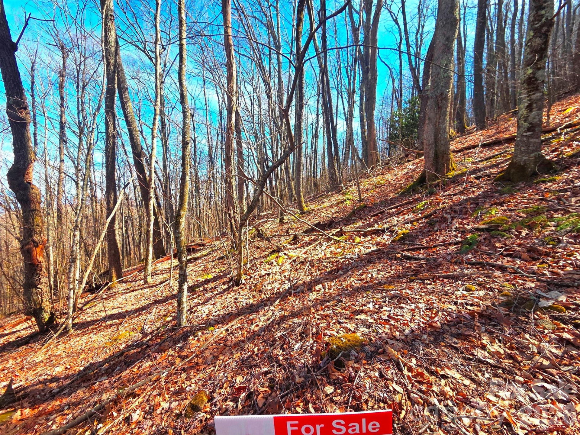 250 Rome Beauty Road #TR5 - Photo 29