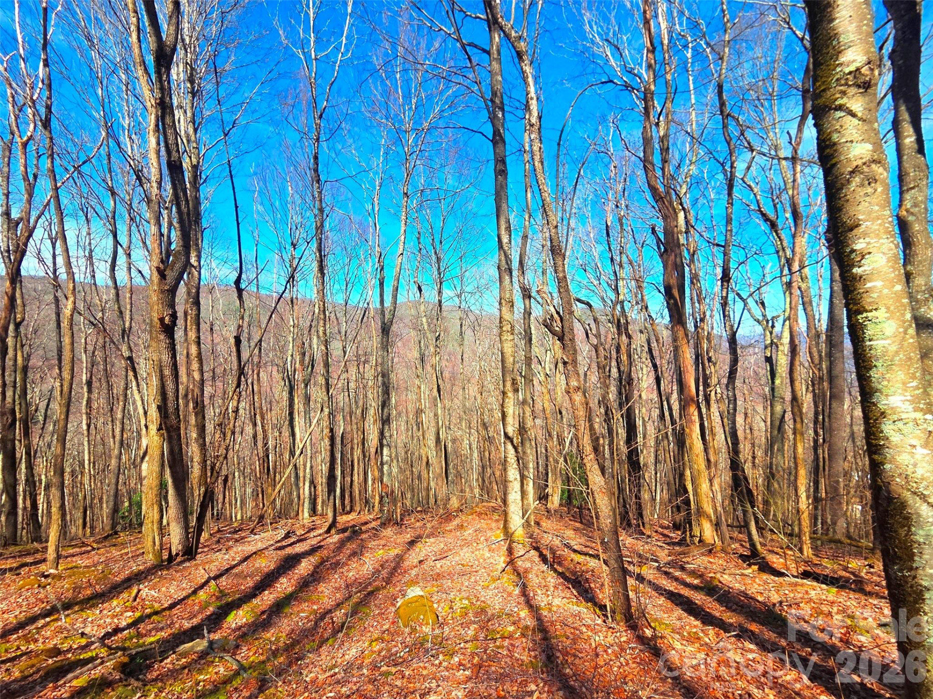 250 Rome Beauty Road #TR5 - Photo 30