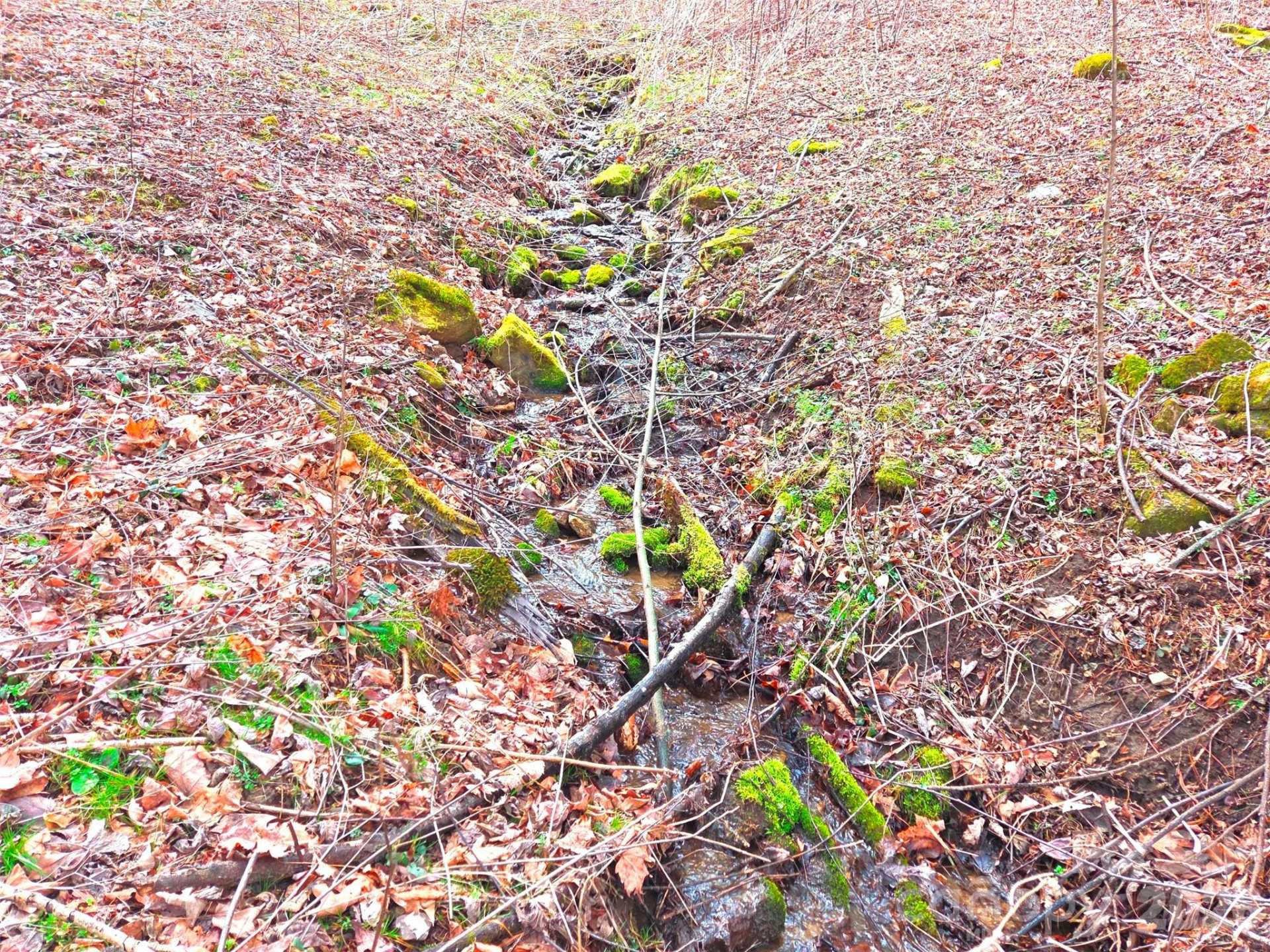 250 Rome Beauty Road #TR5 - Photo 4