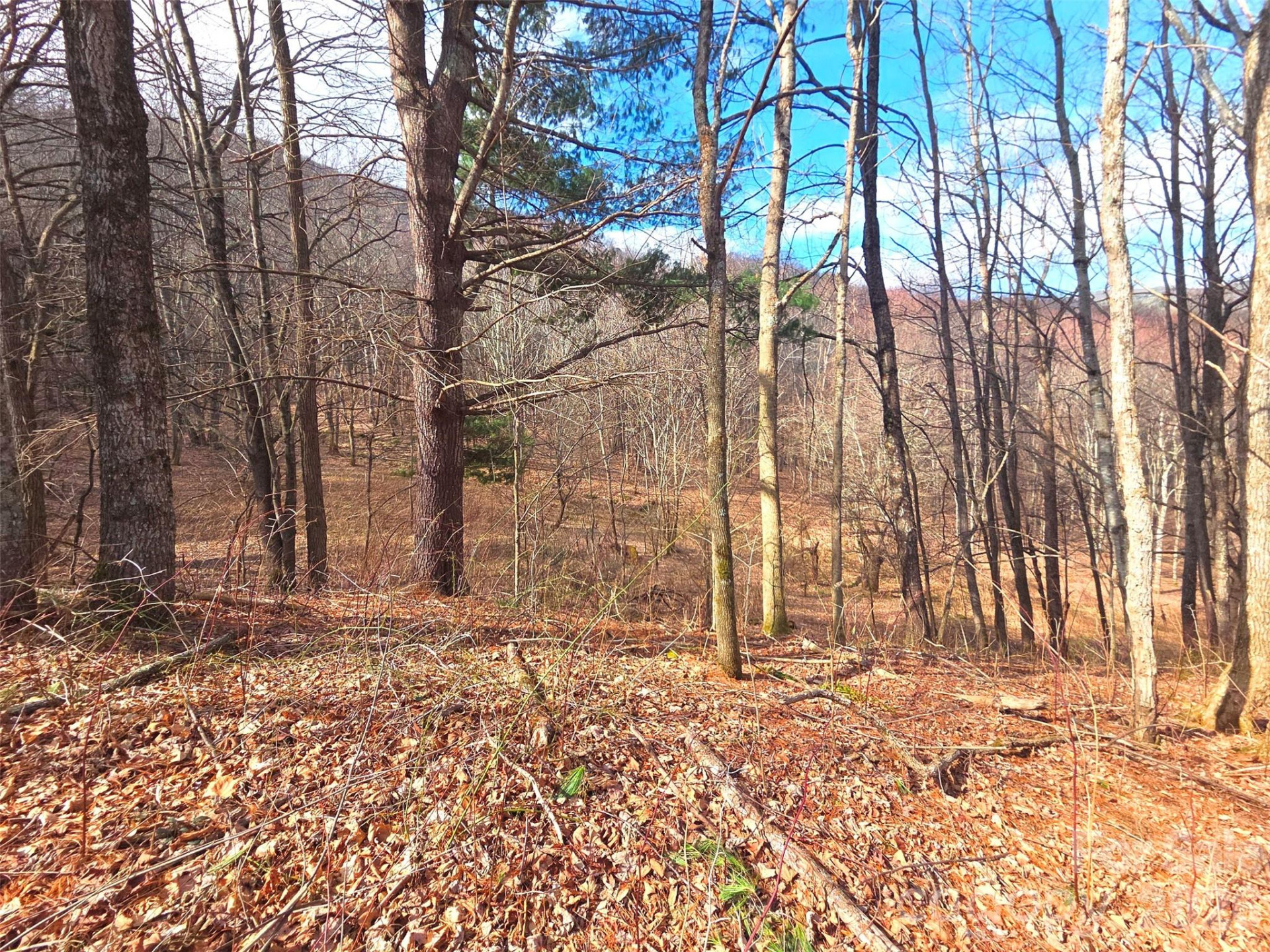 250 Rome Beauty Road #TR5 - Photo 5