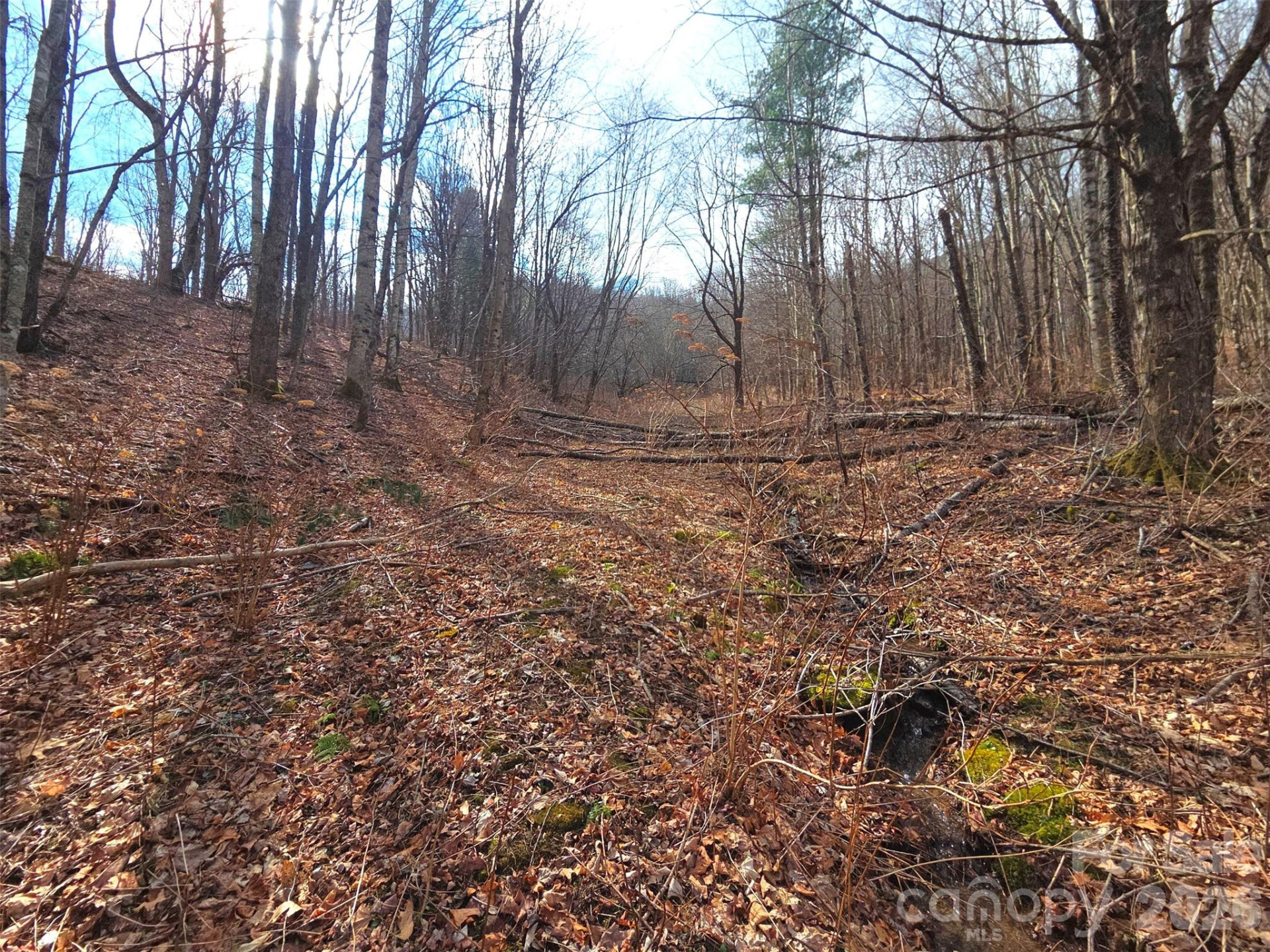 250 Rome Beauty Road #TR5 - Photo 7