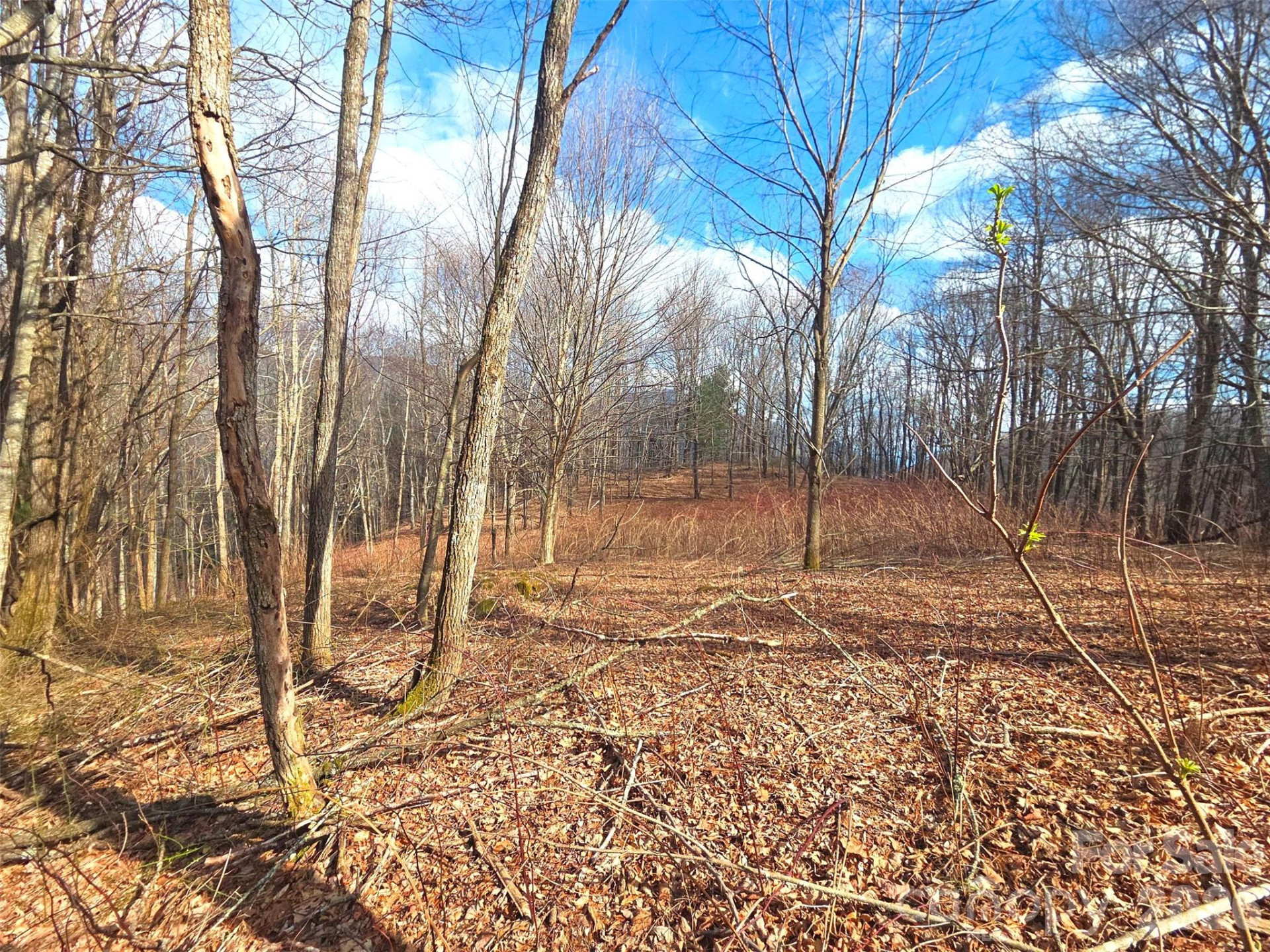 250 Rome Beauty Road #TR5 - Photo 8