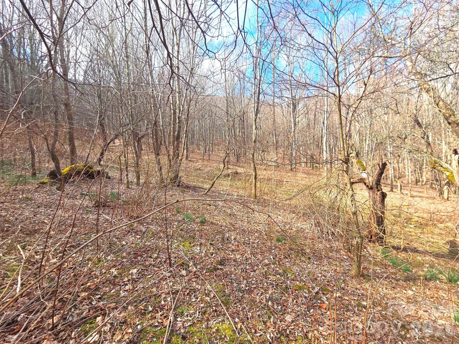 250 Rome Beauty Road #TR5 - Photo 10