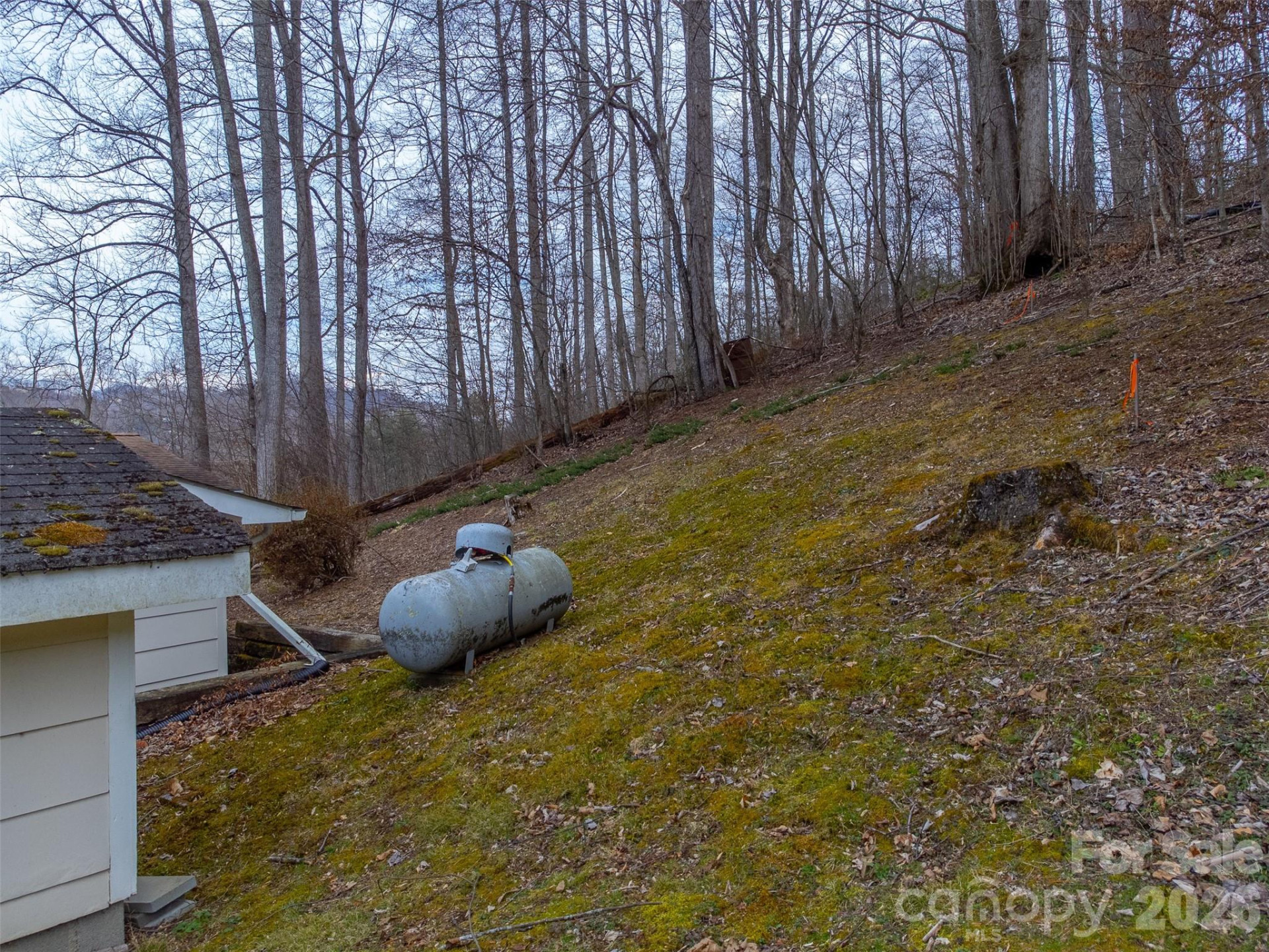 57 Melody Lane - Photo 39