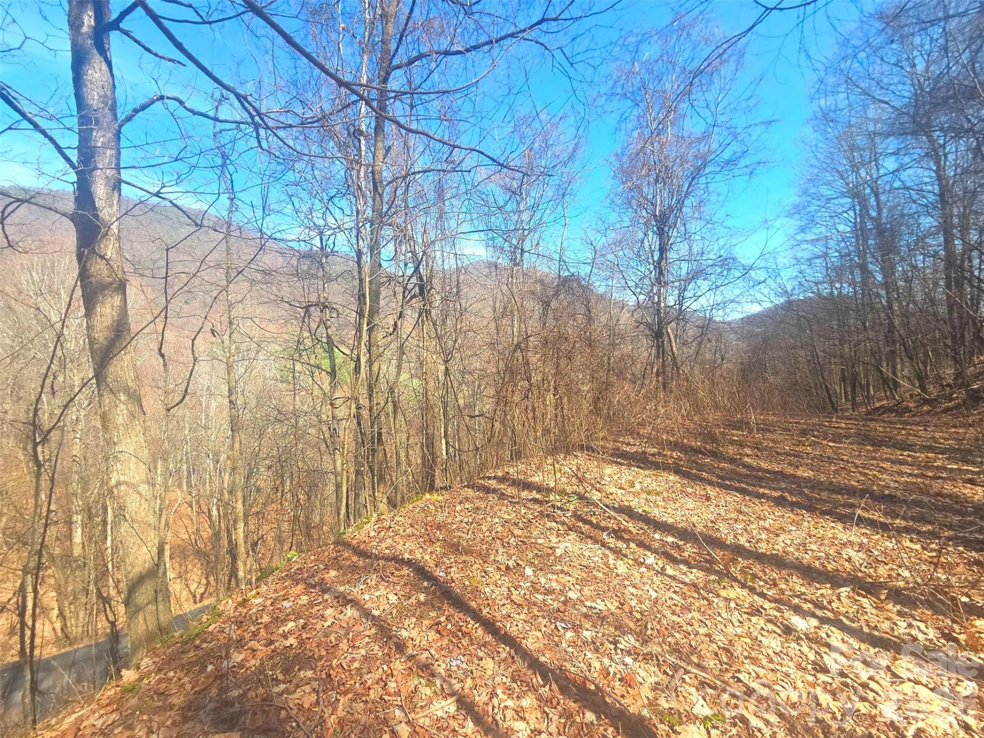 1200 Chestnut Flats Lane #138