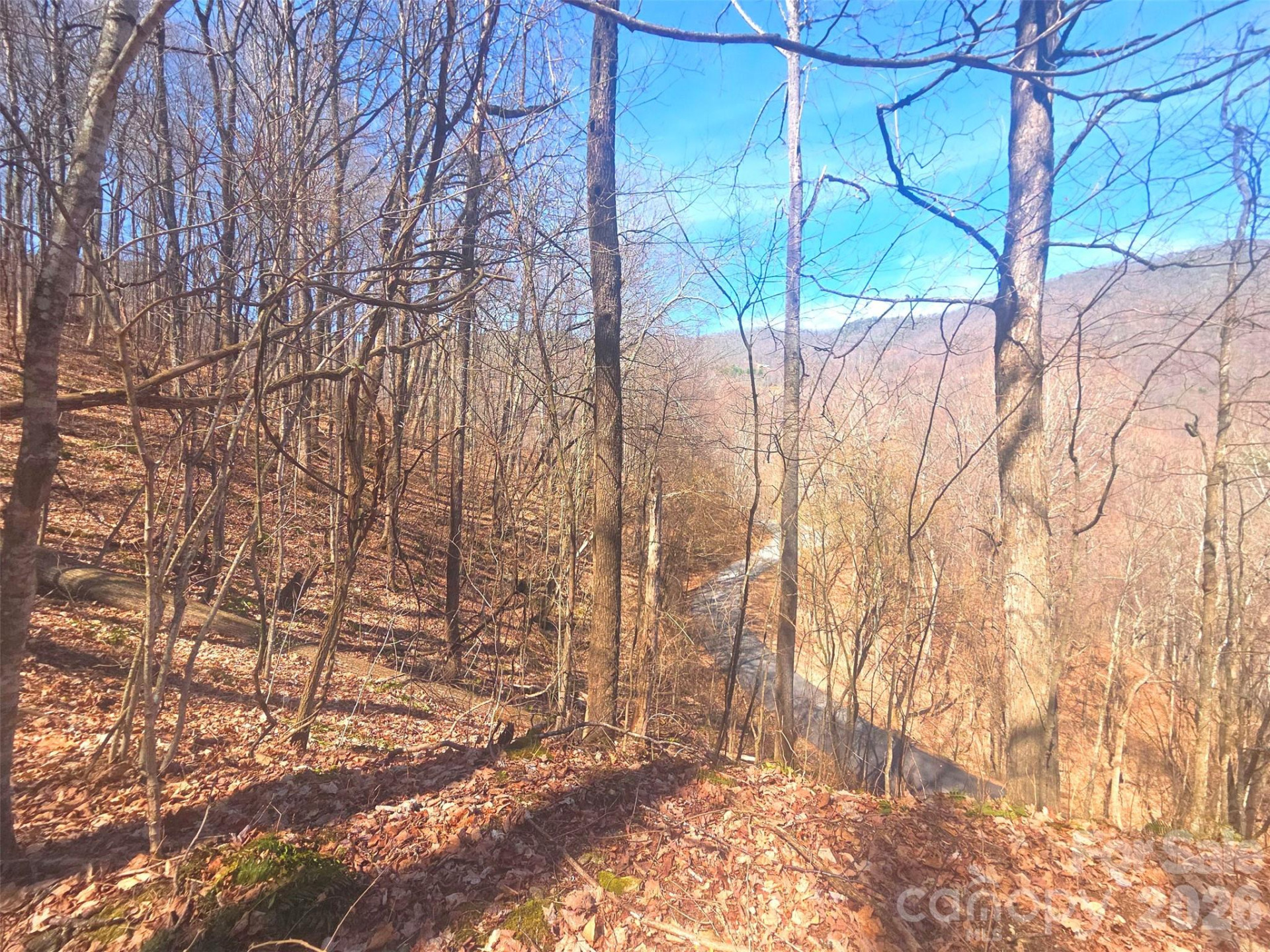 1200 Chestnut Flats Lane #138 - Photo 2