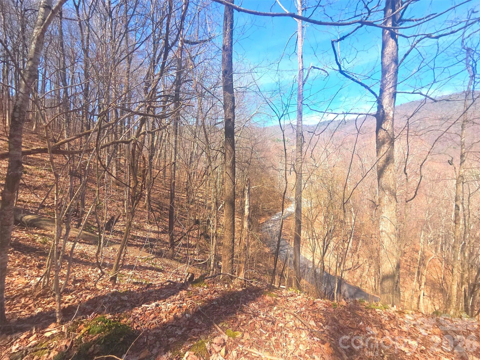 1200 Chestnut Flats Lane #138 - Photo 2
