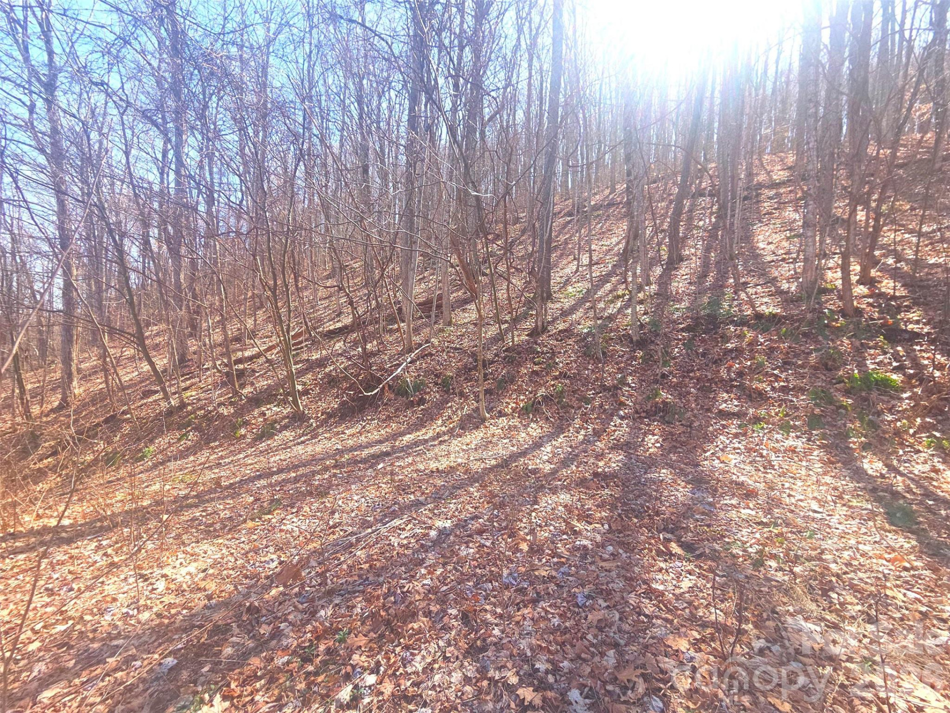 1200 Chestnut Flats Lane #138 - Photo 11