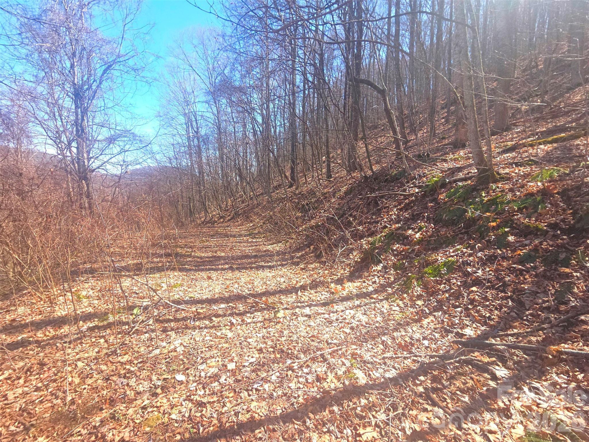 1200 Chestnut Flats Lane #138 - Photo 12