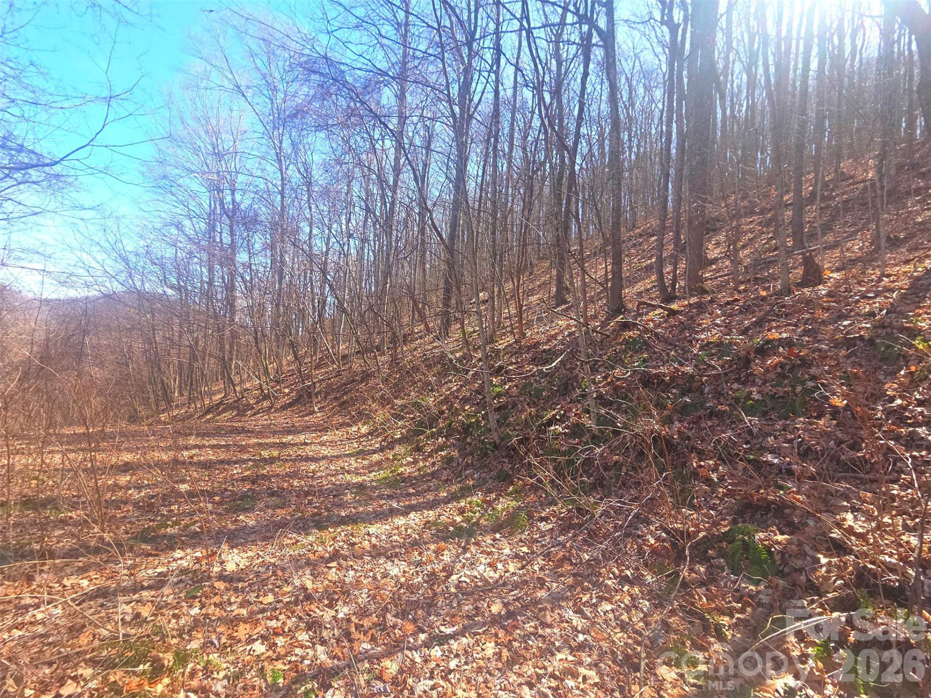 1200 Chestnut Flats Lane #138 - Photo 13