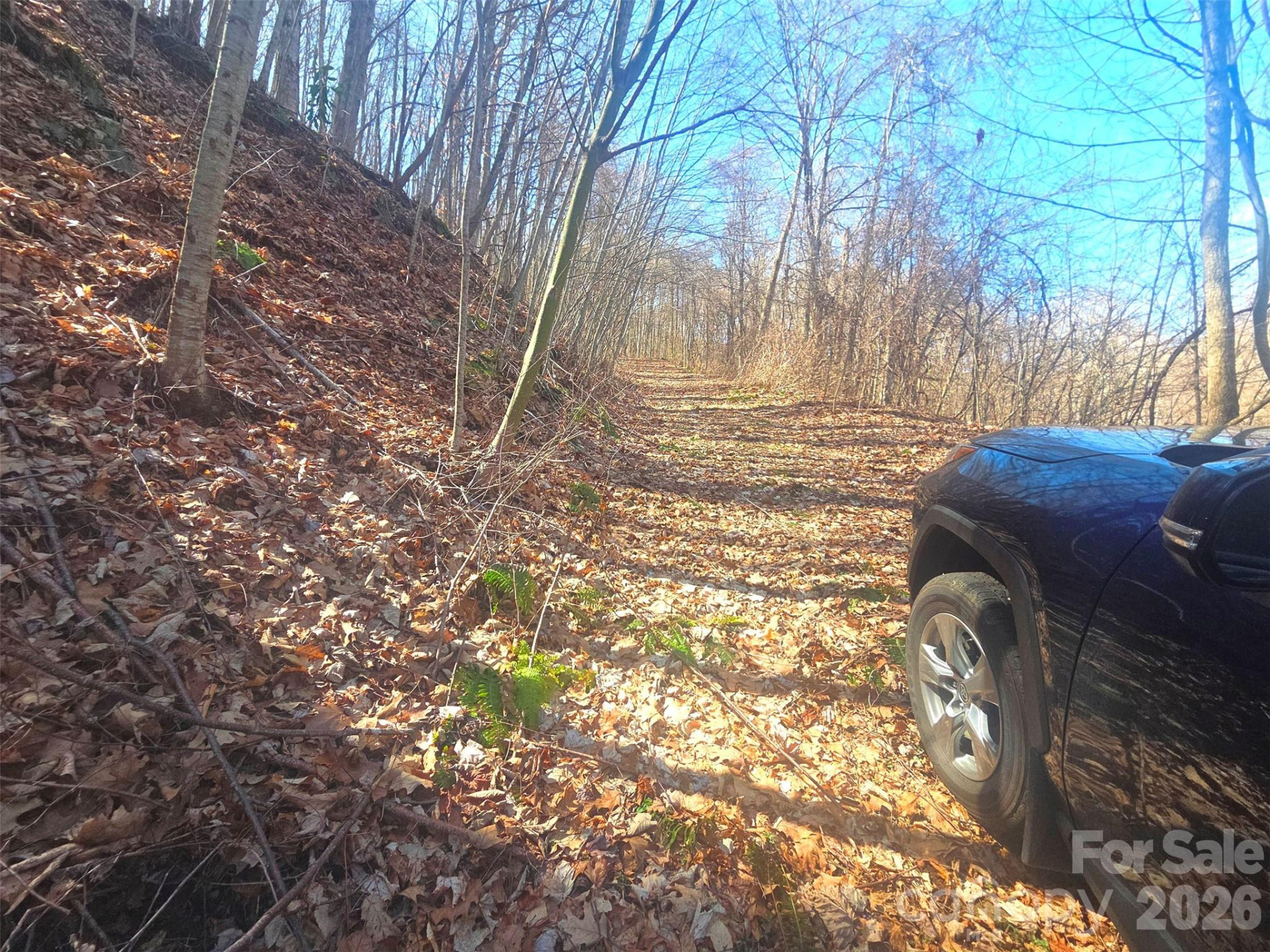 1200 Chestnut Flats Lane #138 - Photo 15