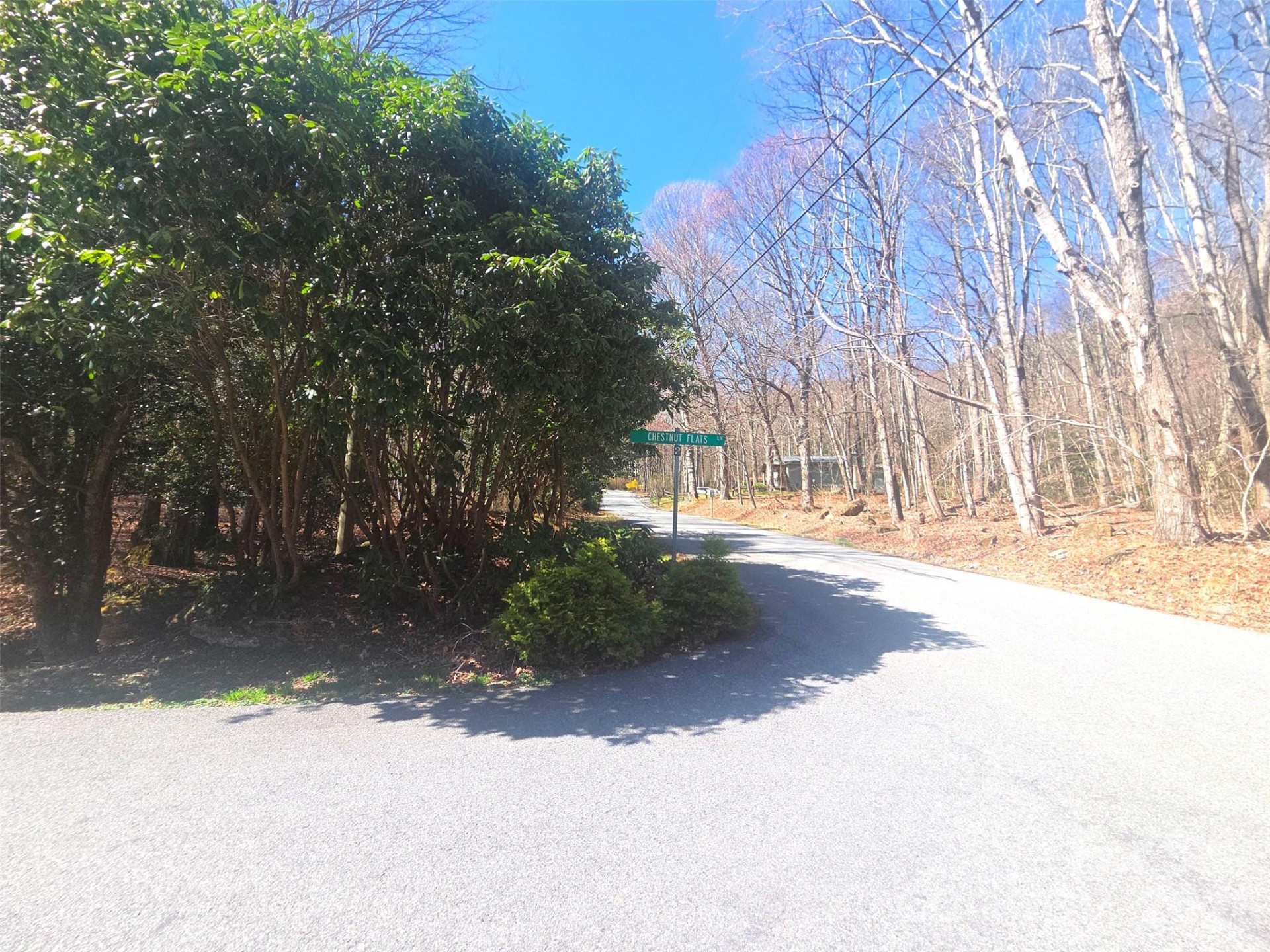 1200 Chestnut Flats Lane #138 - Photo 17