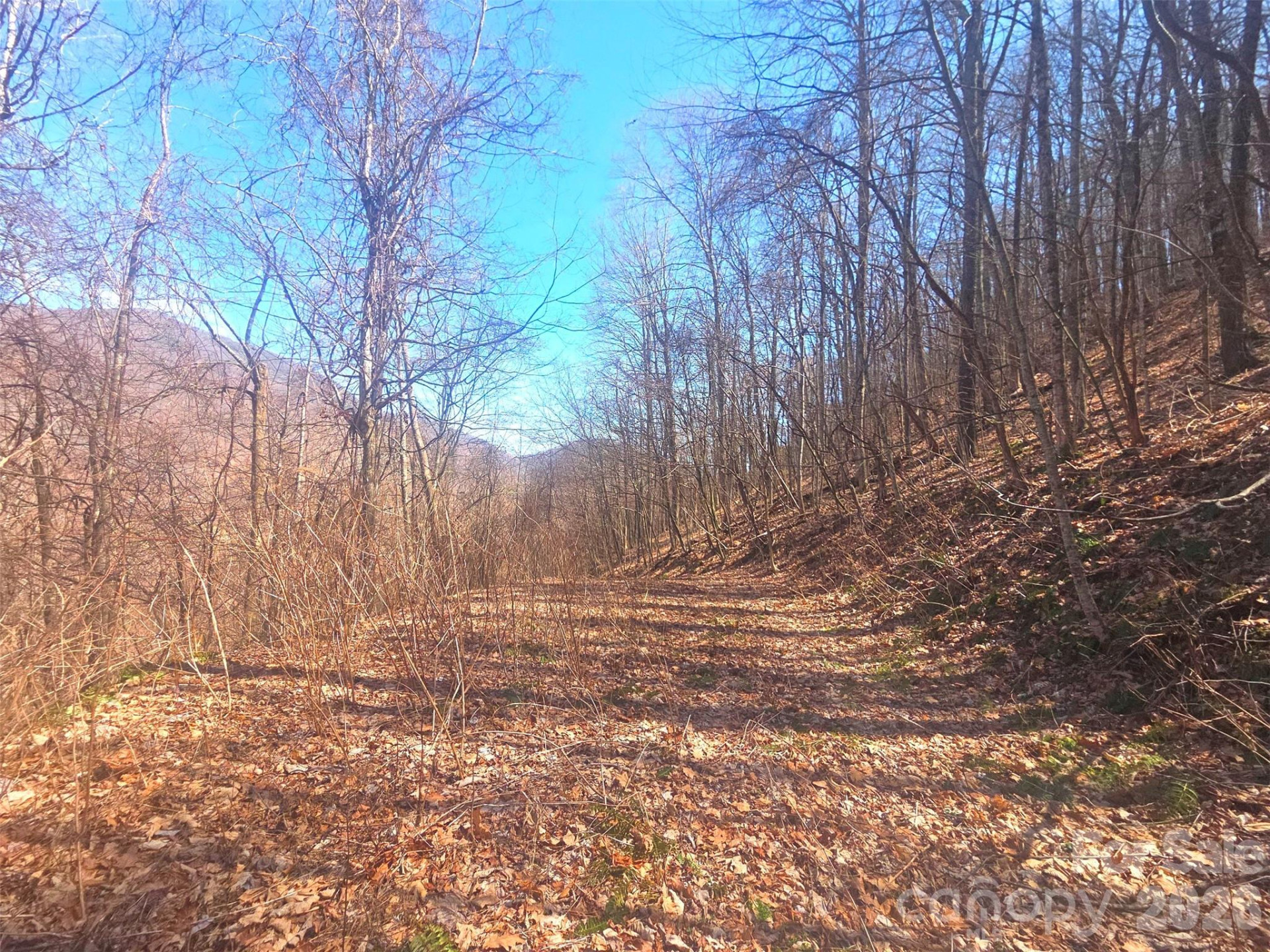 1200 Chestnut Flats Lane #138 - Photo 20