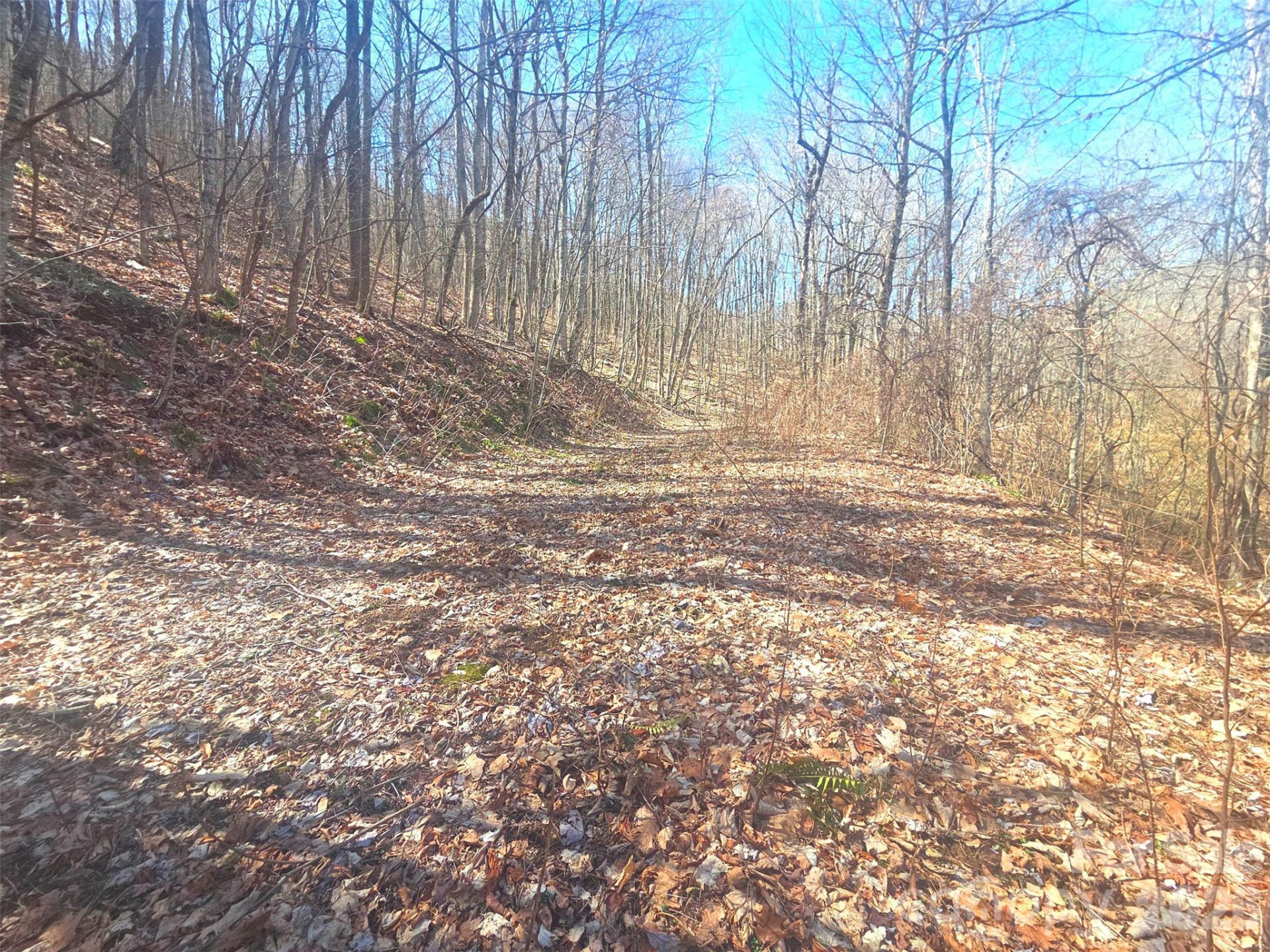 1200 Chestnut Flats Lane #138 - Photo 3