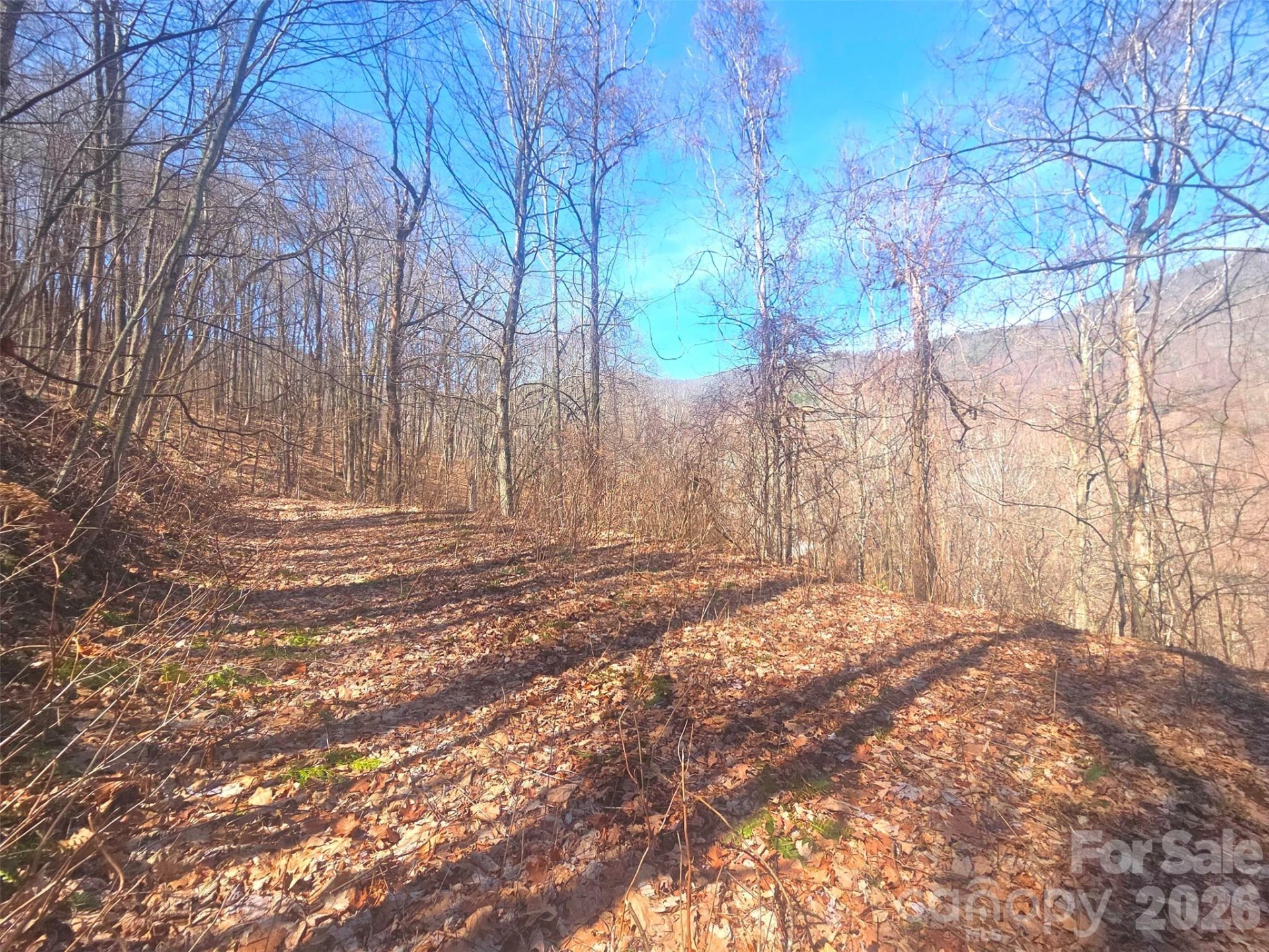 1200 Chestnut Flats Lane #138 - Photo 21