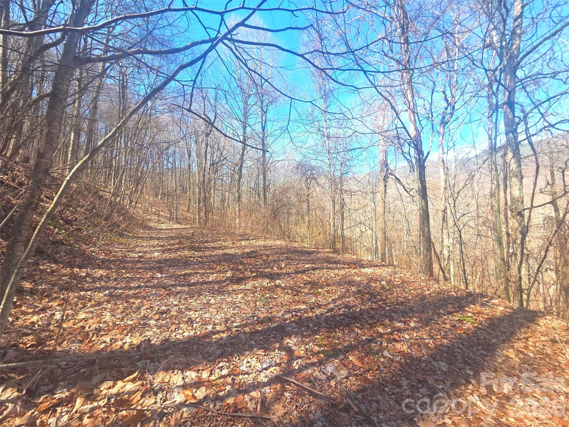 1200 Chestnut Flats Lane #138 - Photo 22