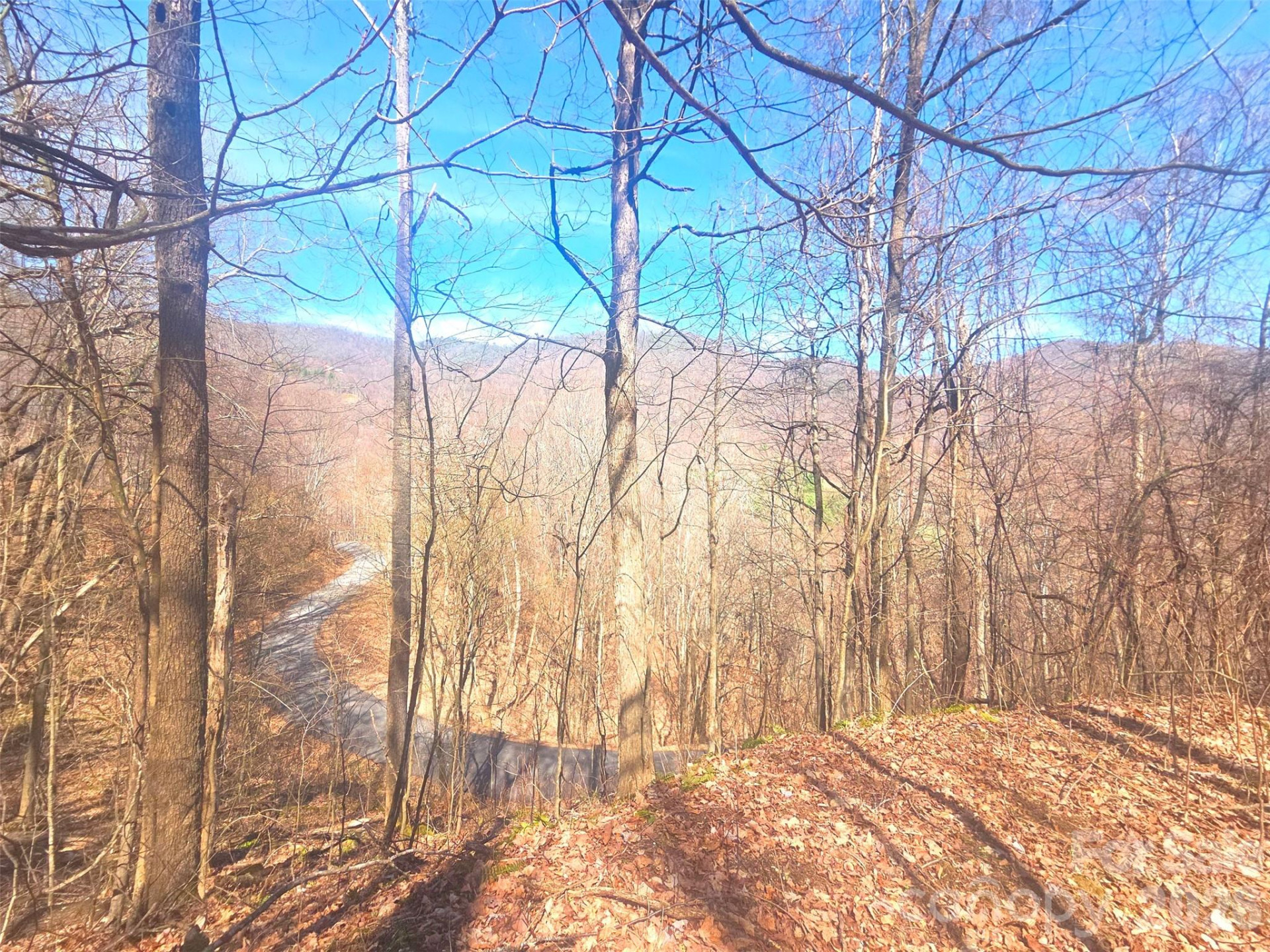 1200 Chestnut Flats Lane #138 - Photo 23