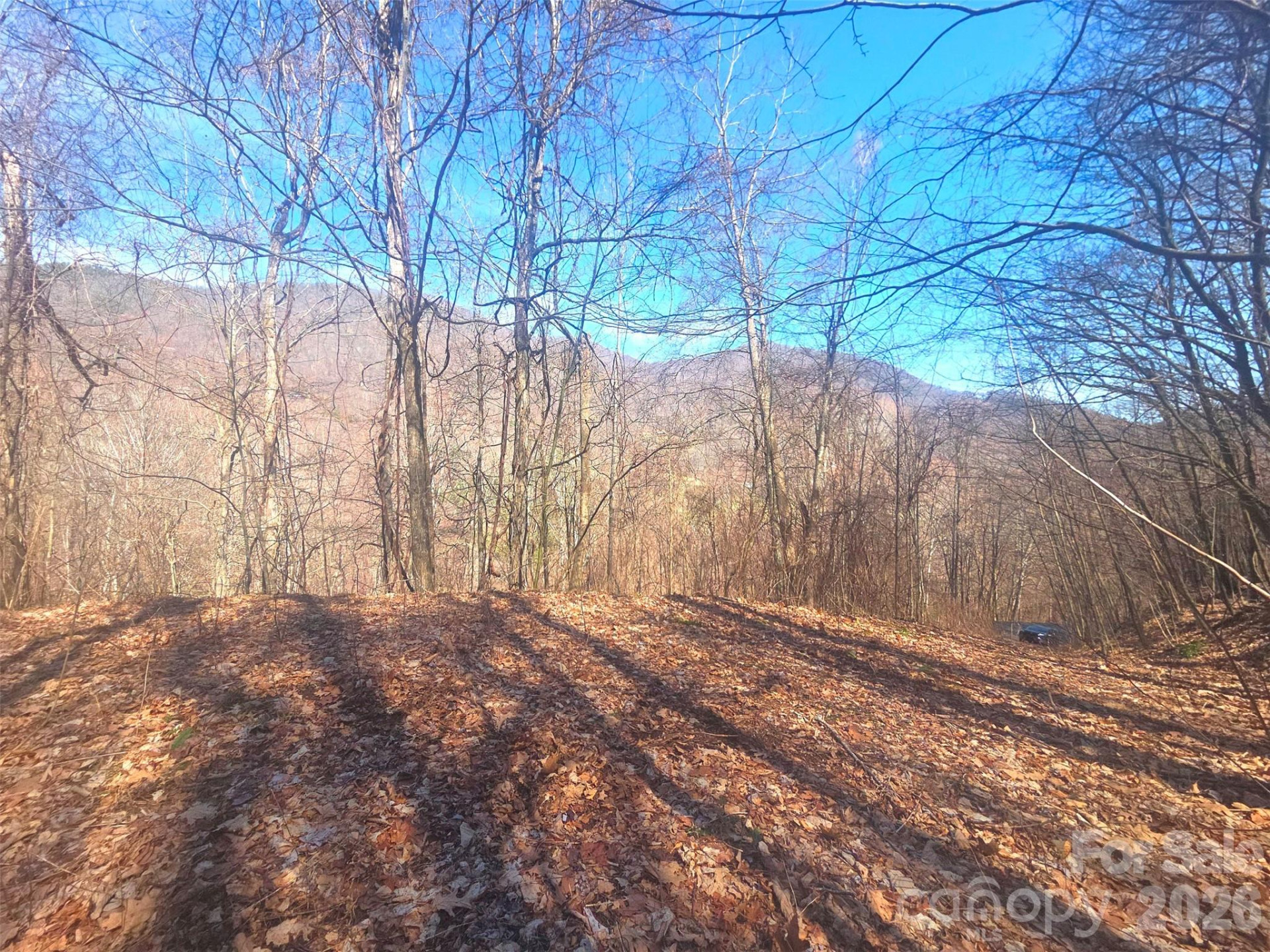 1200 Chestnut Flats Lane #138 - Photo 5