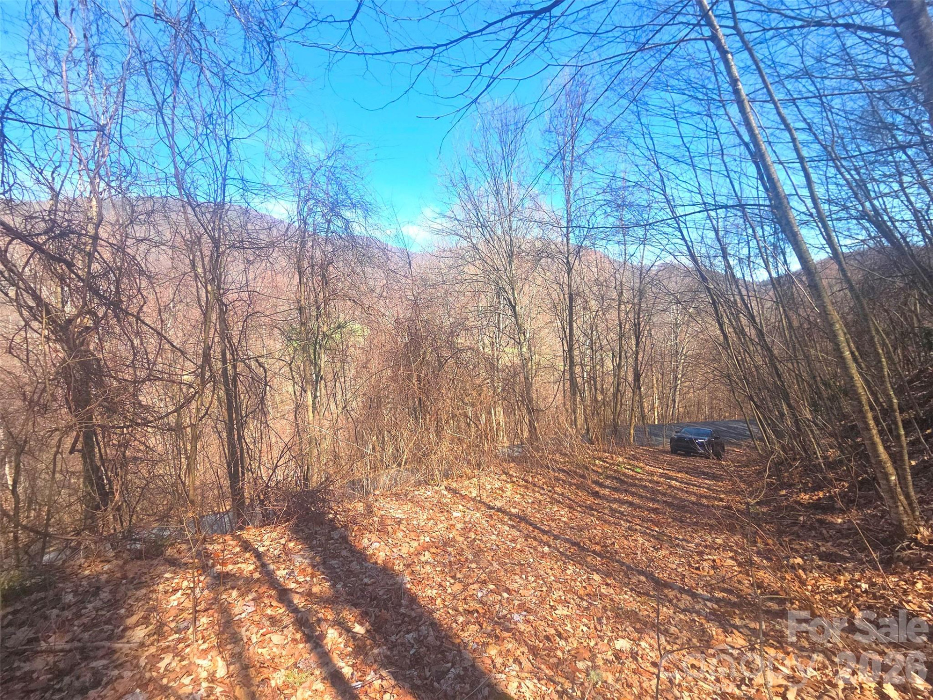 1200 Chestnut Flats Lane #138 - Photo 6