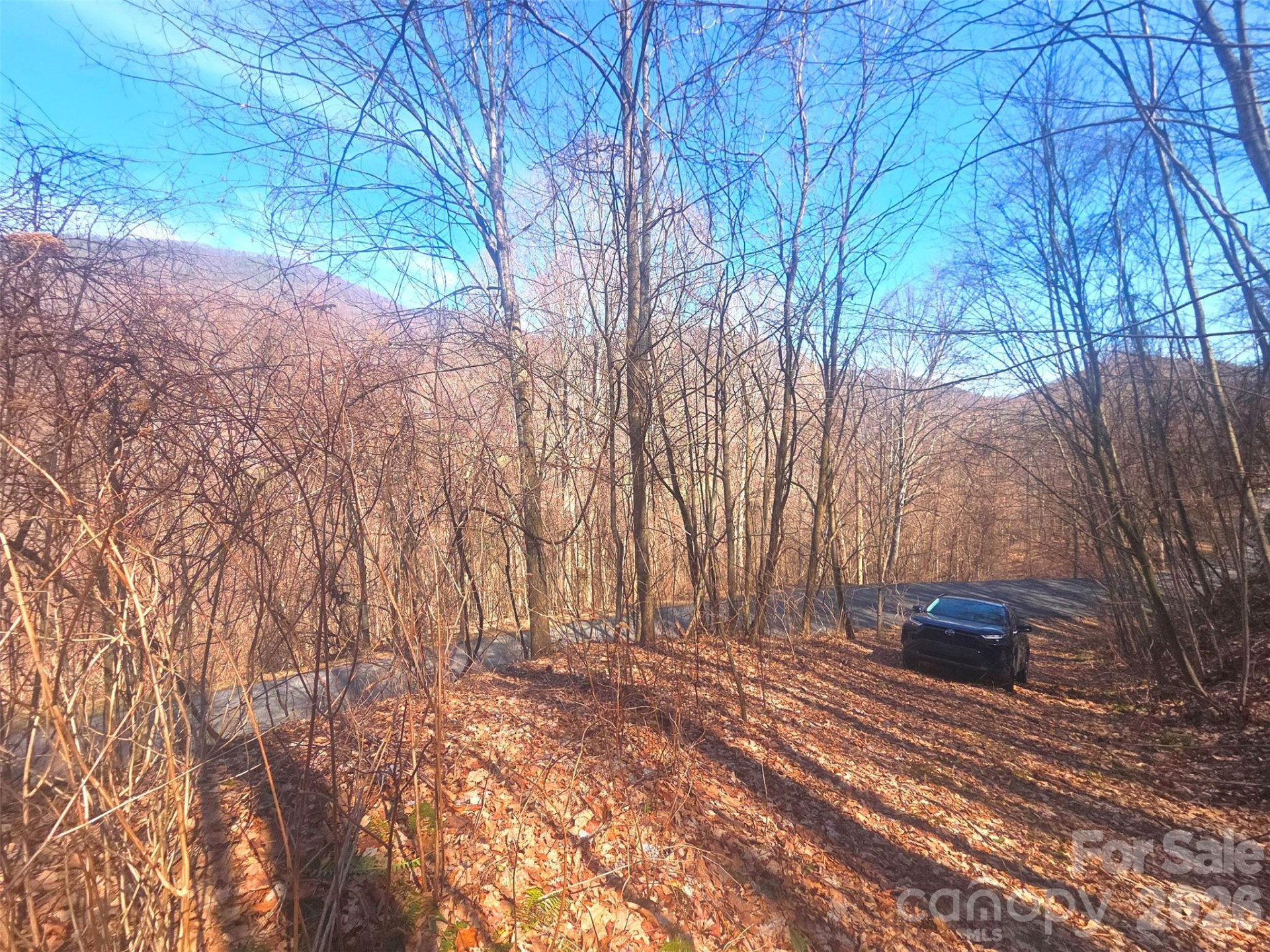 1200 Chestnut Flats Lane #138 - Photo 7