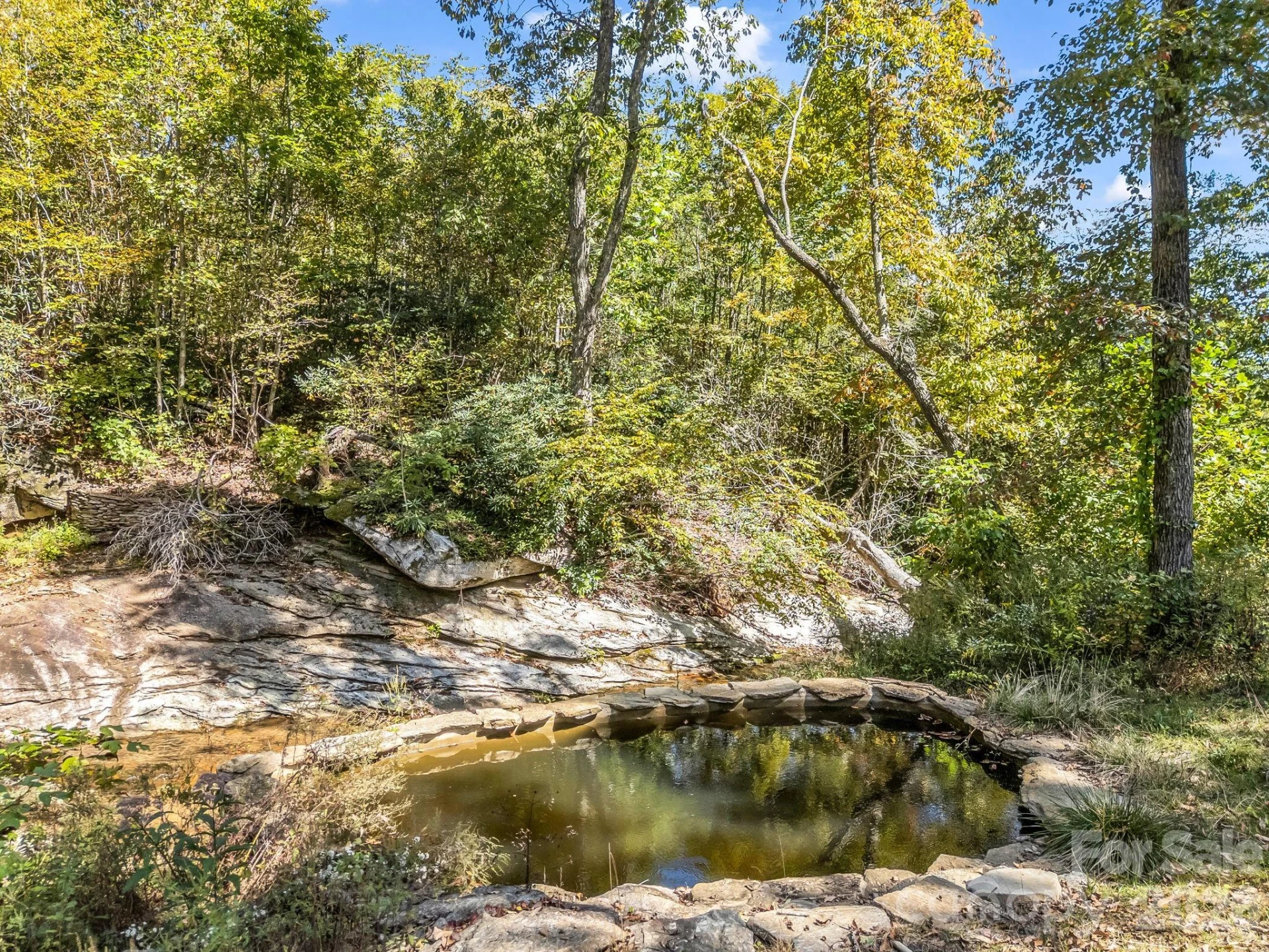 119 Mountain Bluff Trail - Photo 36