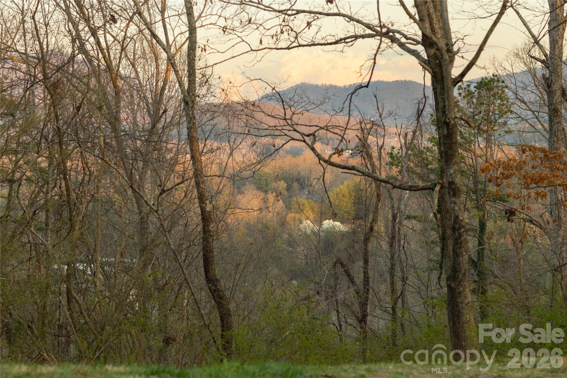 9999 Weaver Hill Road - Photo 2