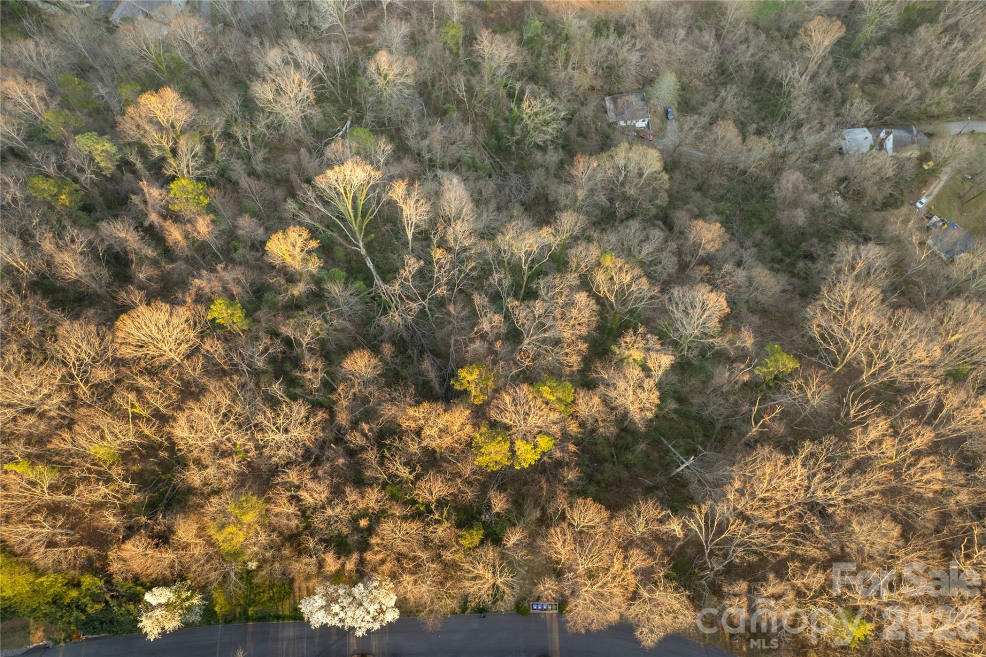 9999 Weaver Hill Road - Photo 15